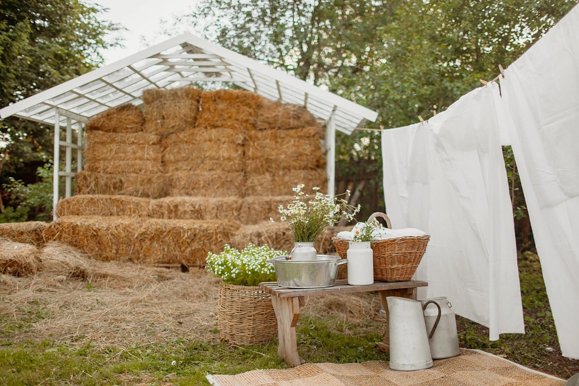 Все фотостудии в Твери. Свадебный и семейный фотограф в Твери и Тверской области