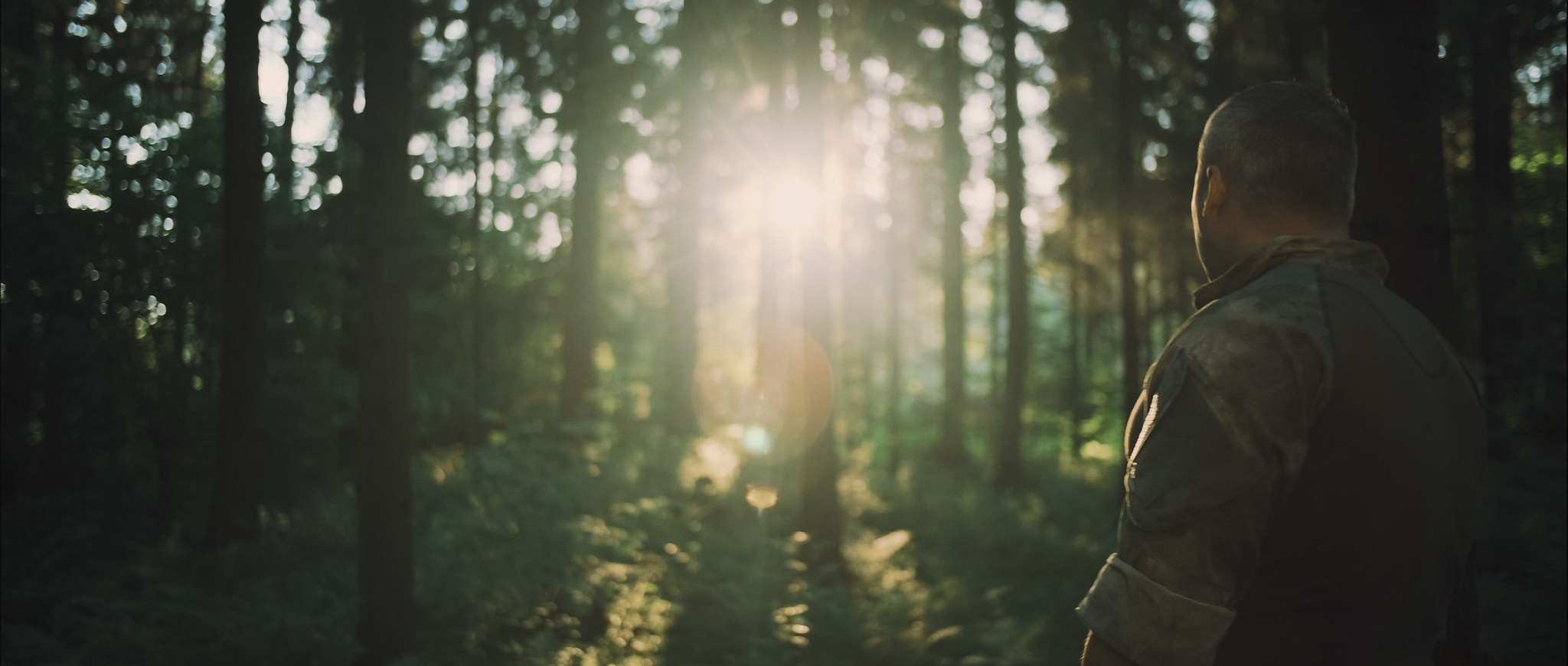 Колорист Александр Кошеленко