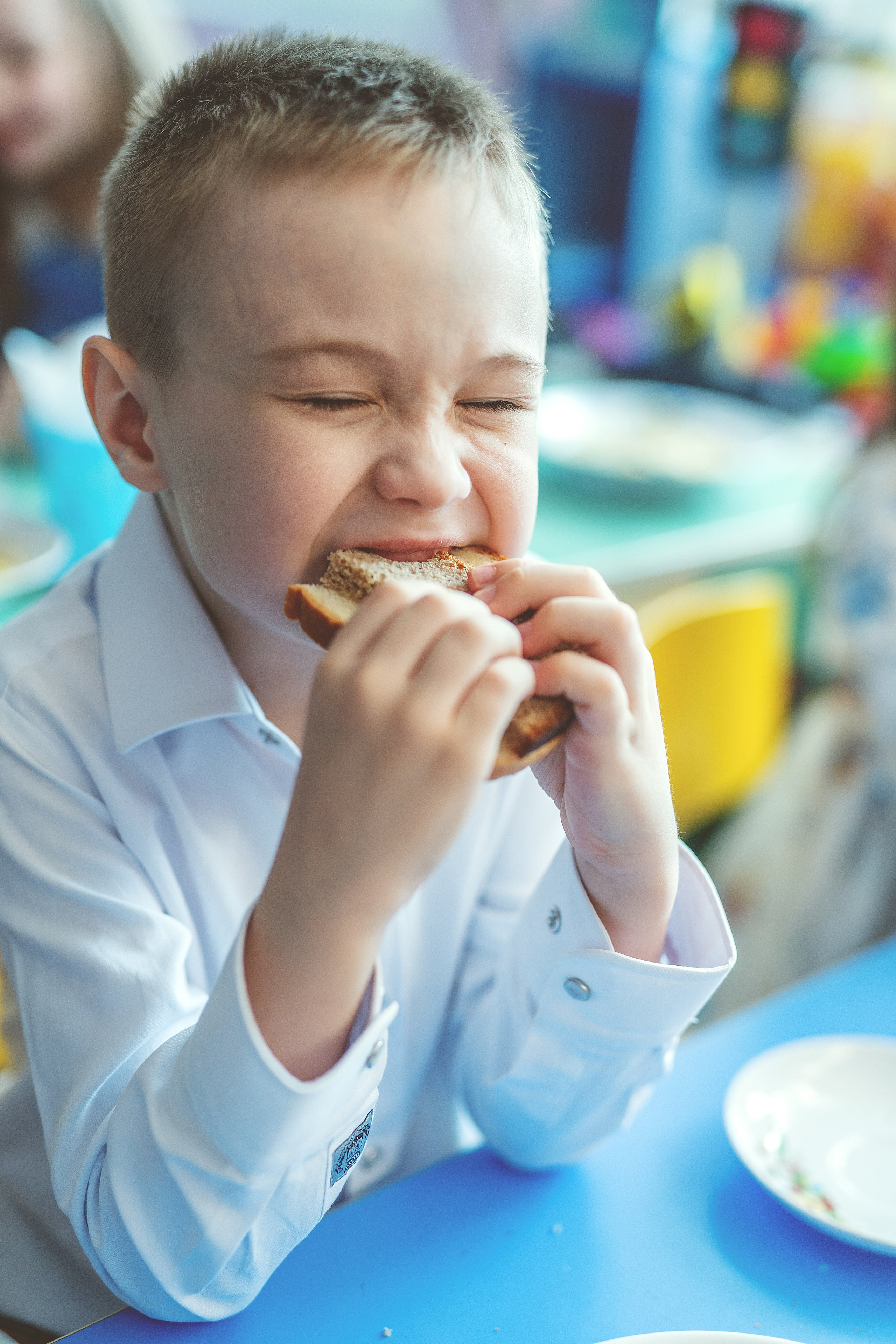 Сад 3. Школьные альбомы и альбомы для детского сада. Юлия Осипова. Москва