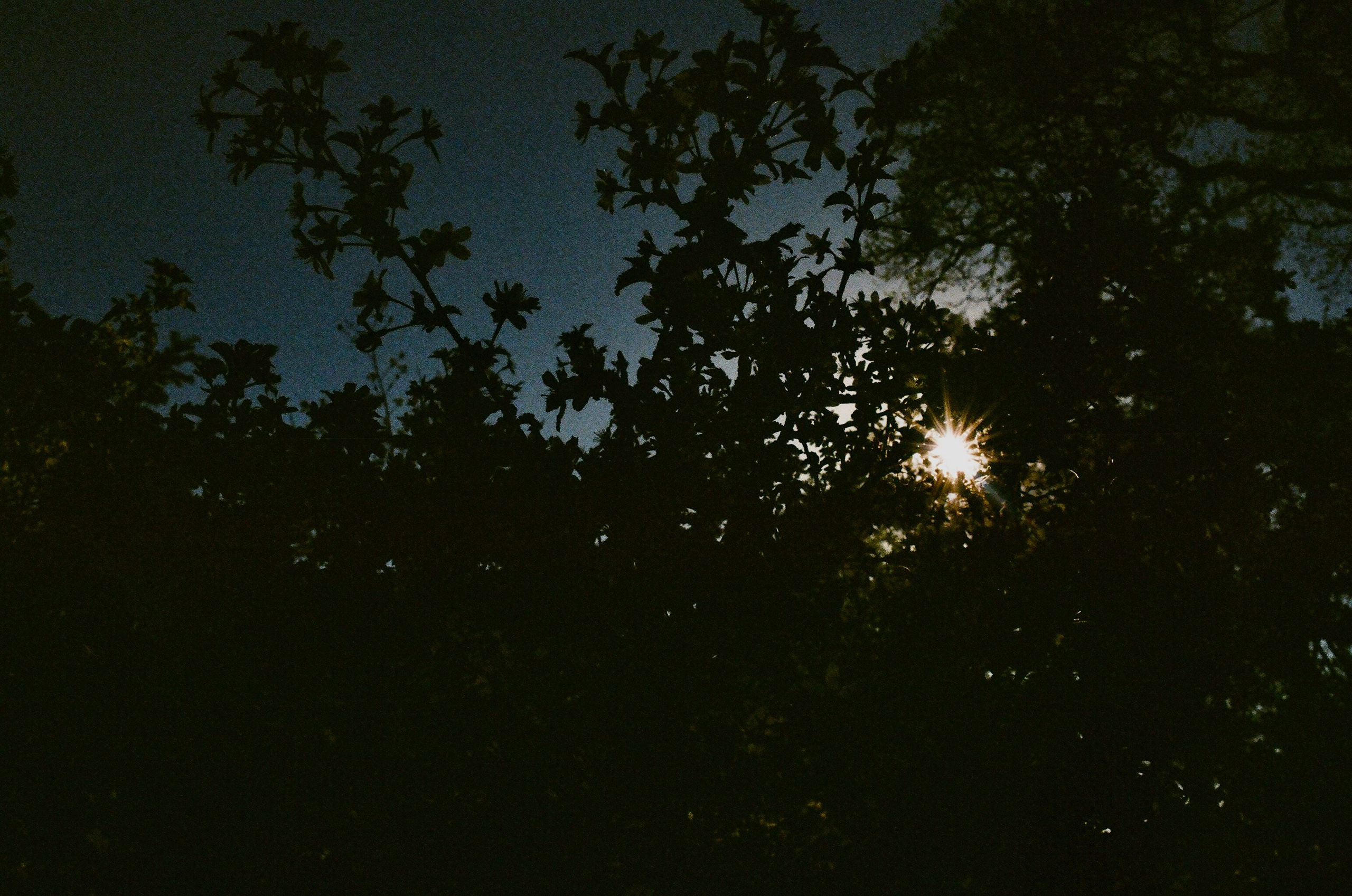 Film. Ruslan UI Dev Page