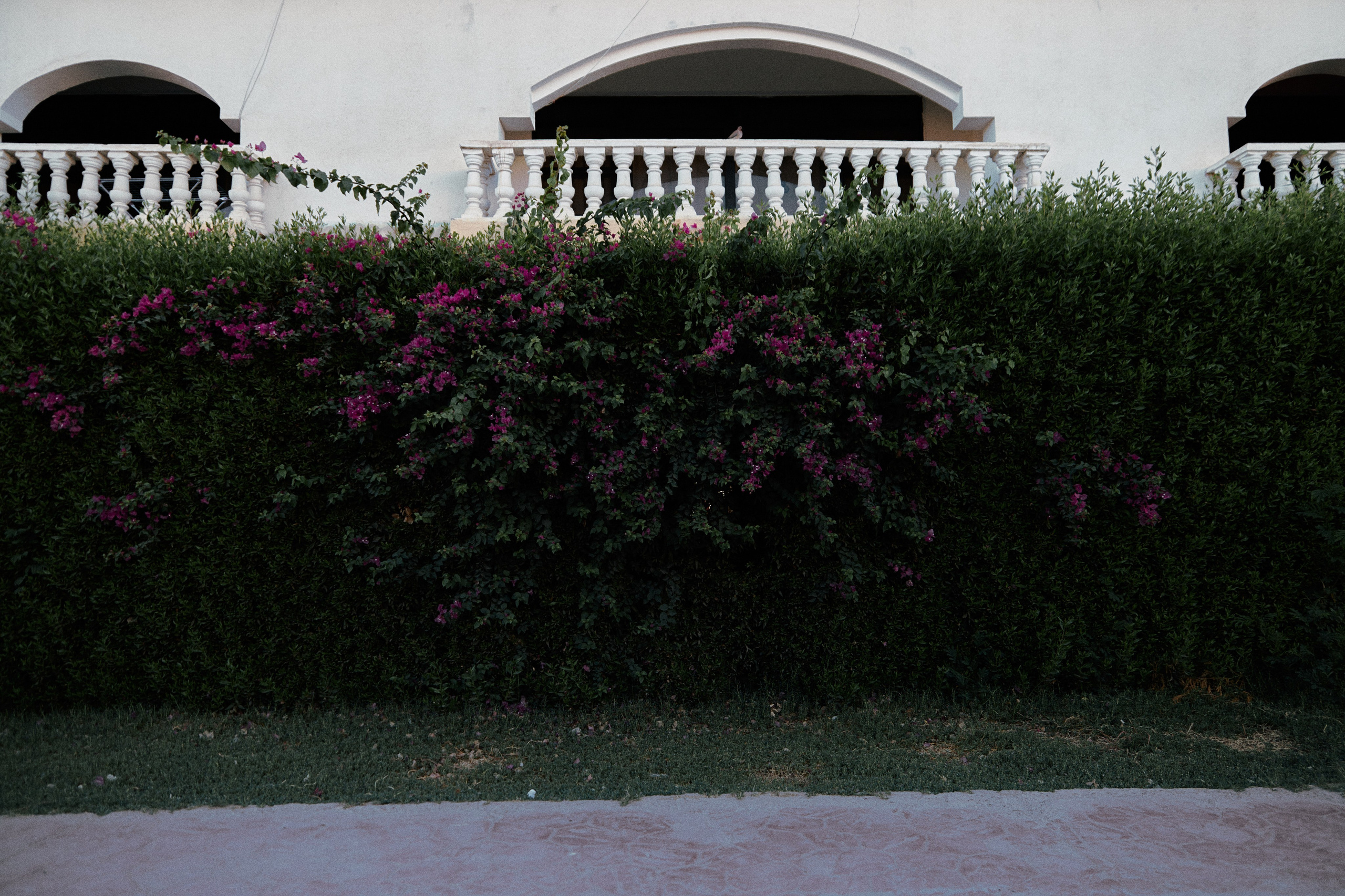 Улица горизонтальная. Jorgis — фотограф в Хургаде / обучение фотографии