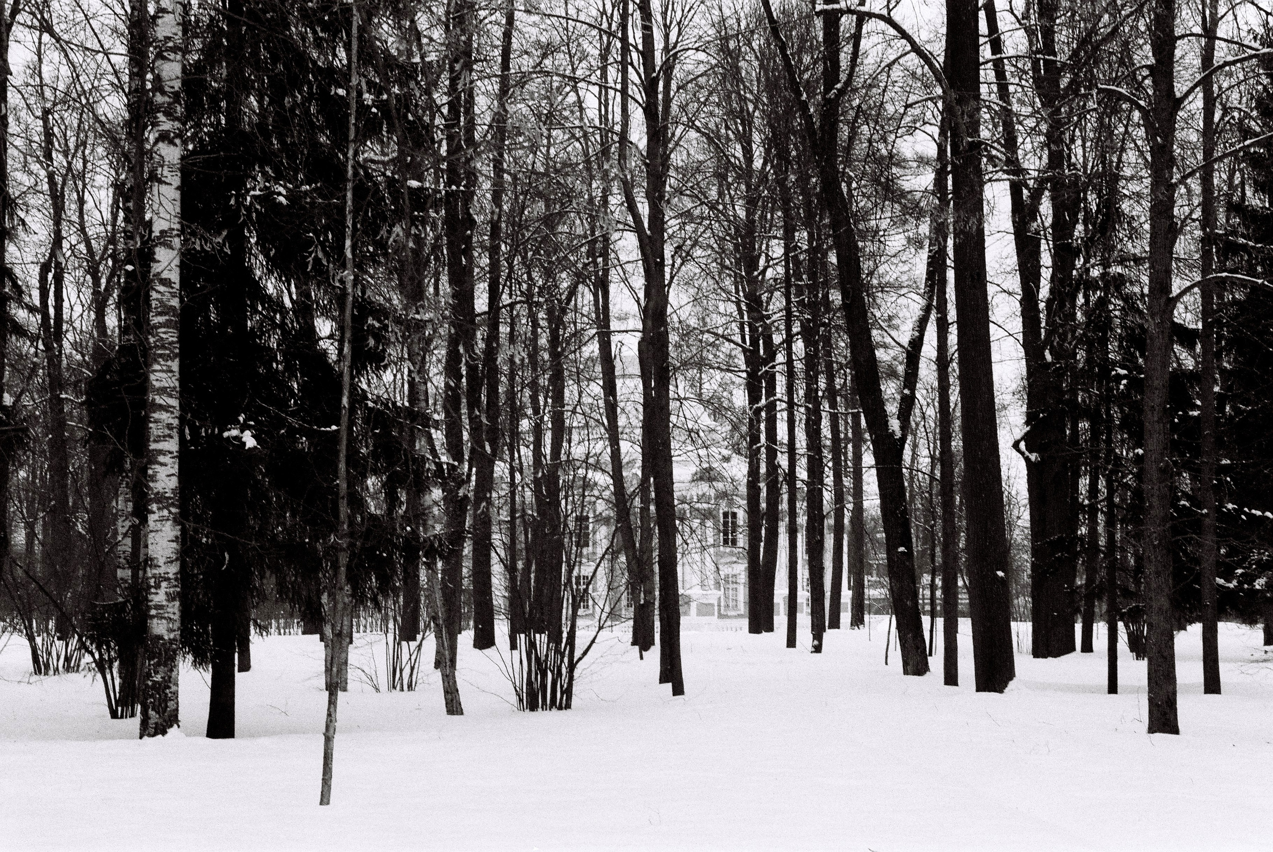 Film. Ruslan UI Dev Page