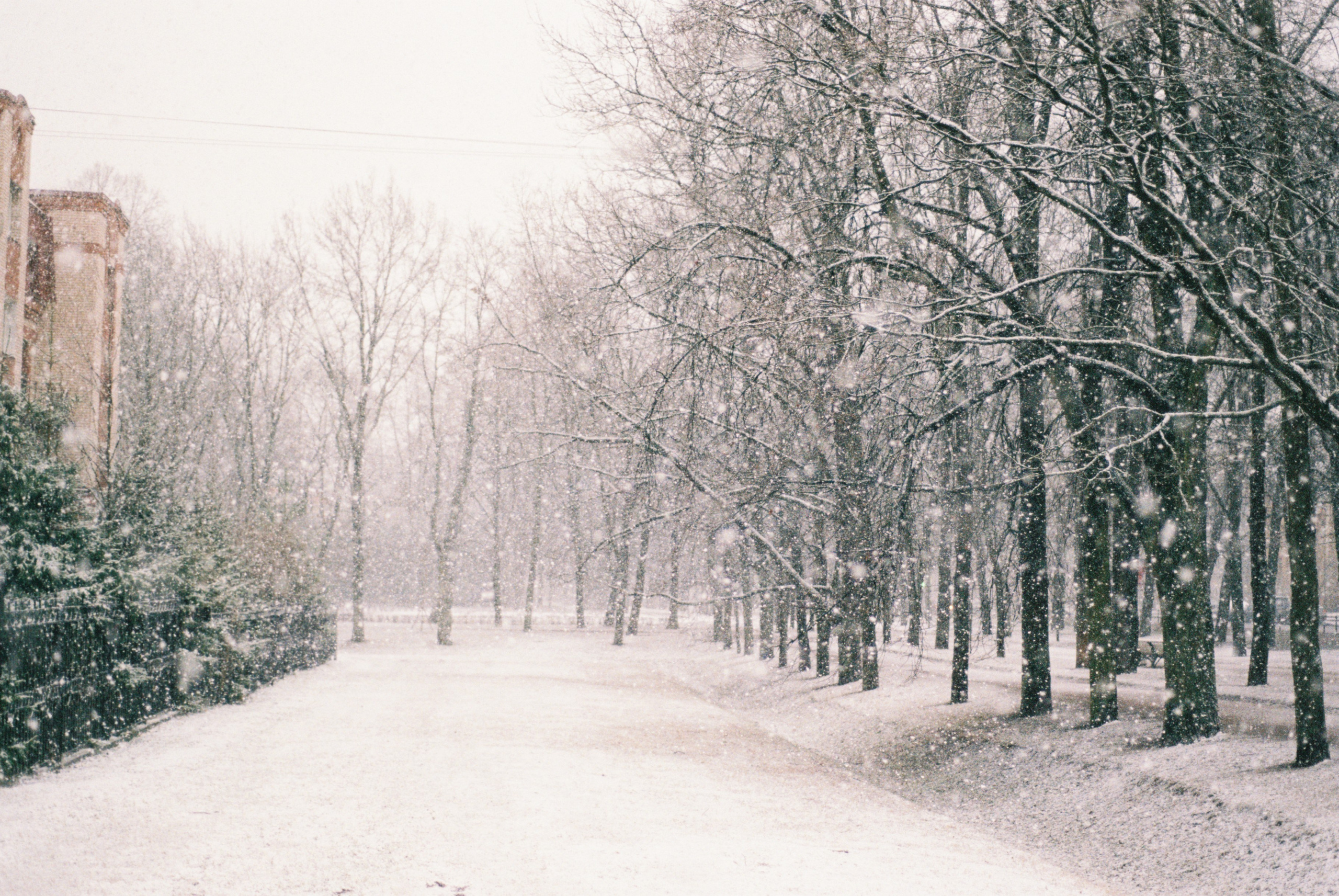 Film. Ruslan UI Dev Page