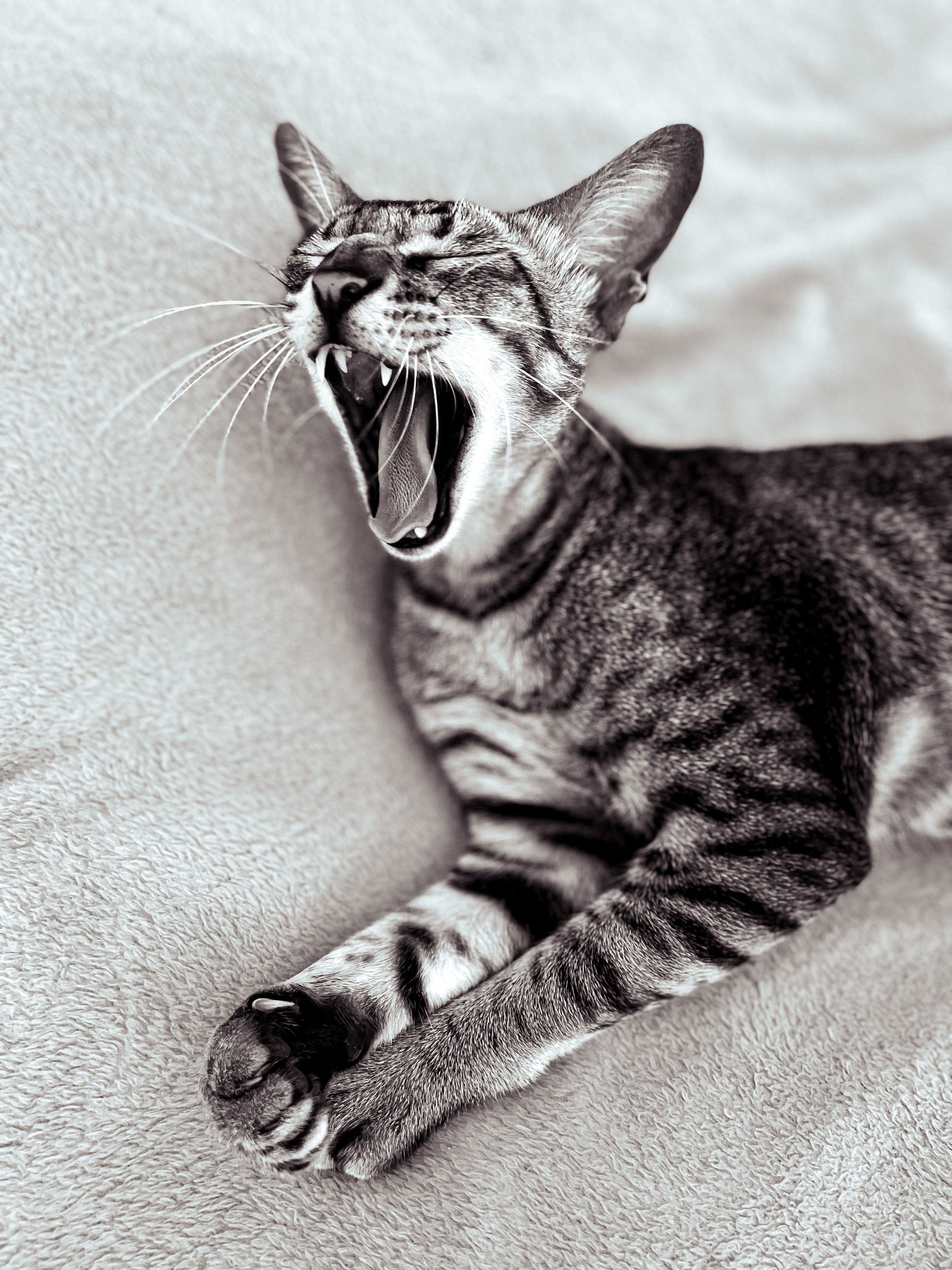 Контакты. Творческий фотограф Москва и МО Юлия Широкова