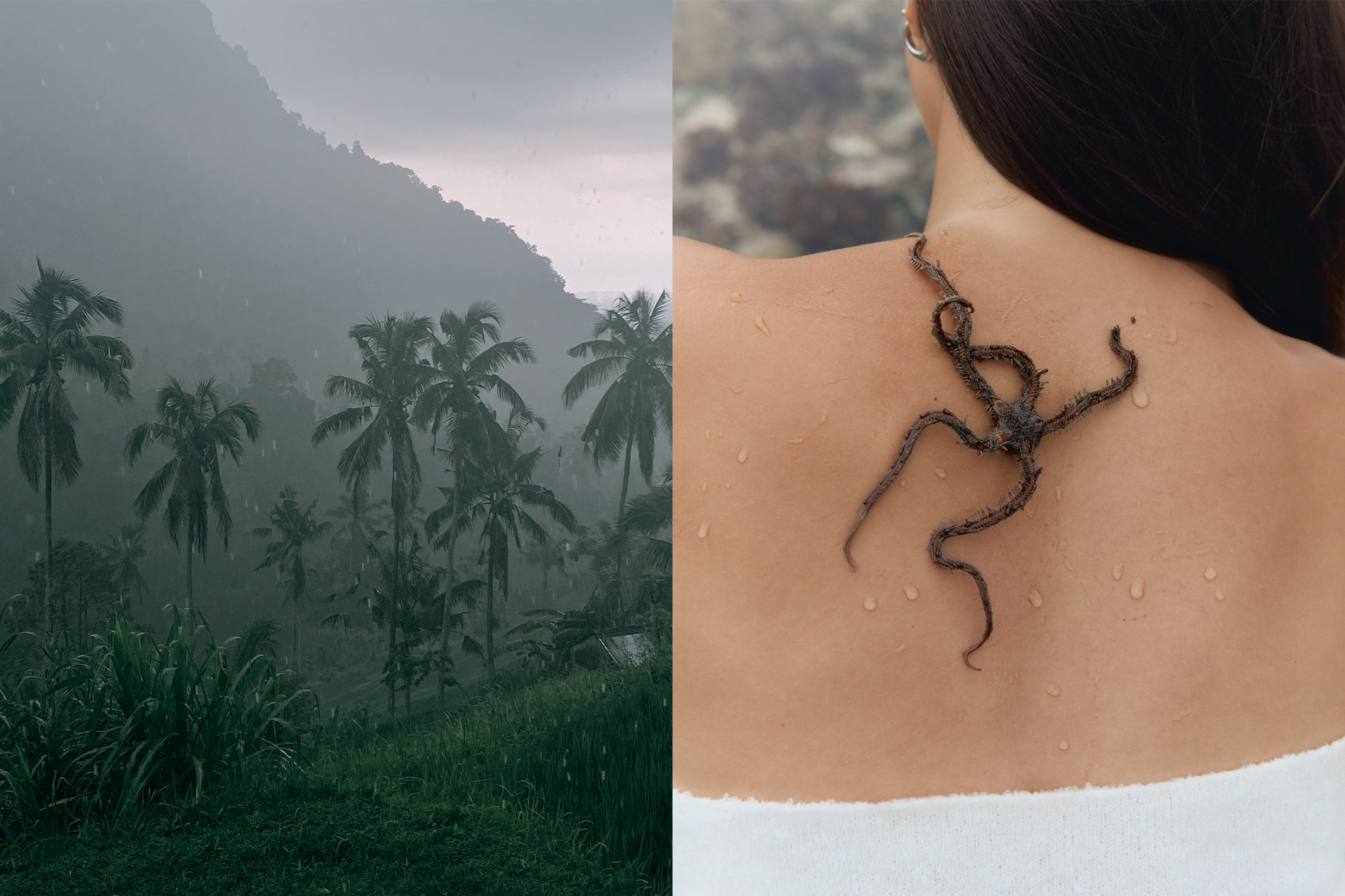 Indonesia. Olya Filina | Moscow Photographer