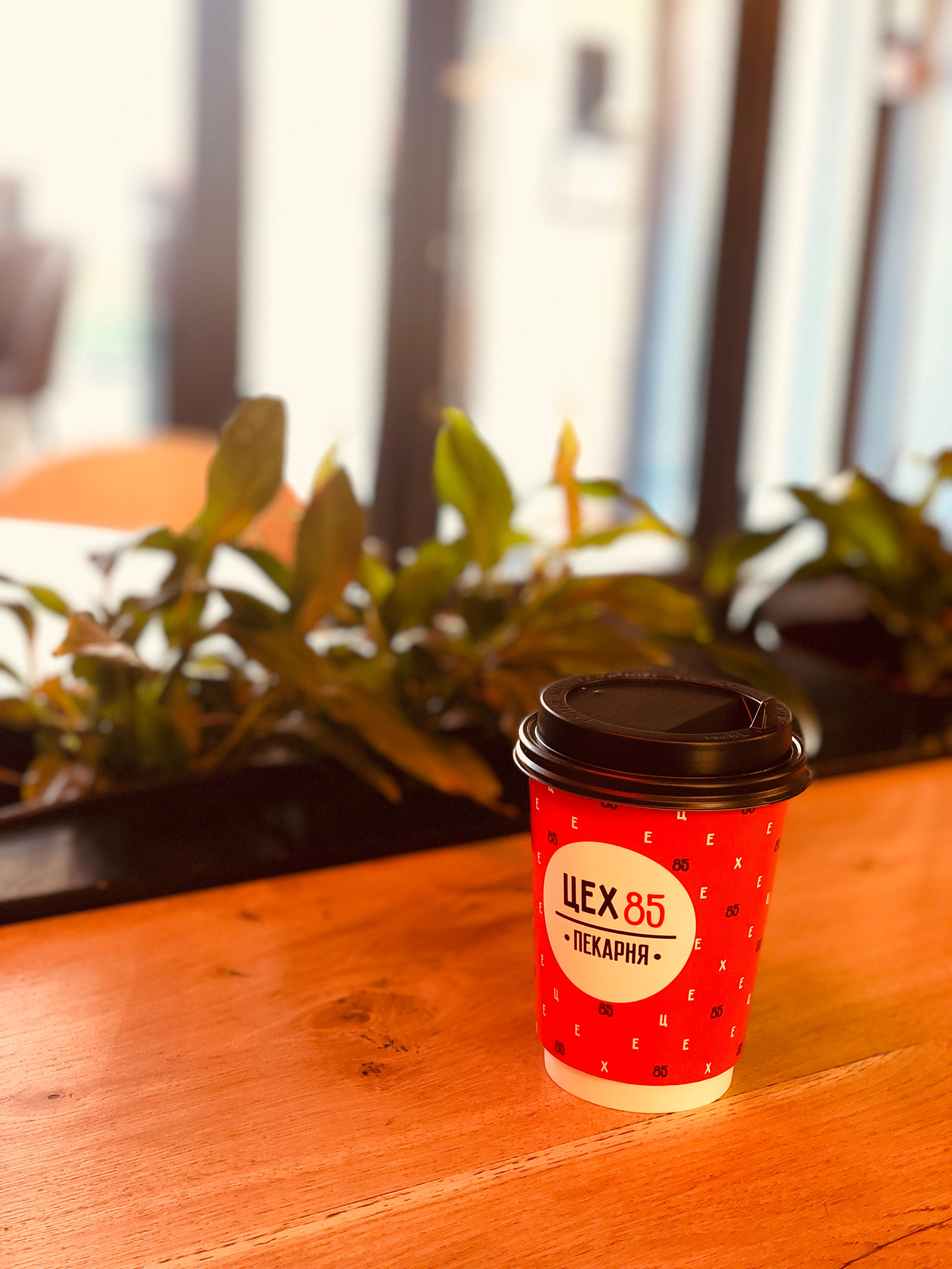 Октябрь. Семейный, Свадебный фотограф СПБ Питер— Романова Екатерина