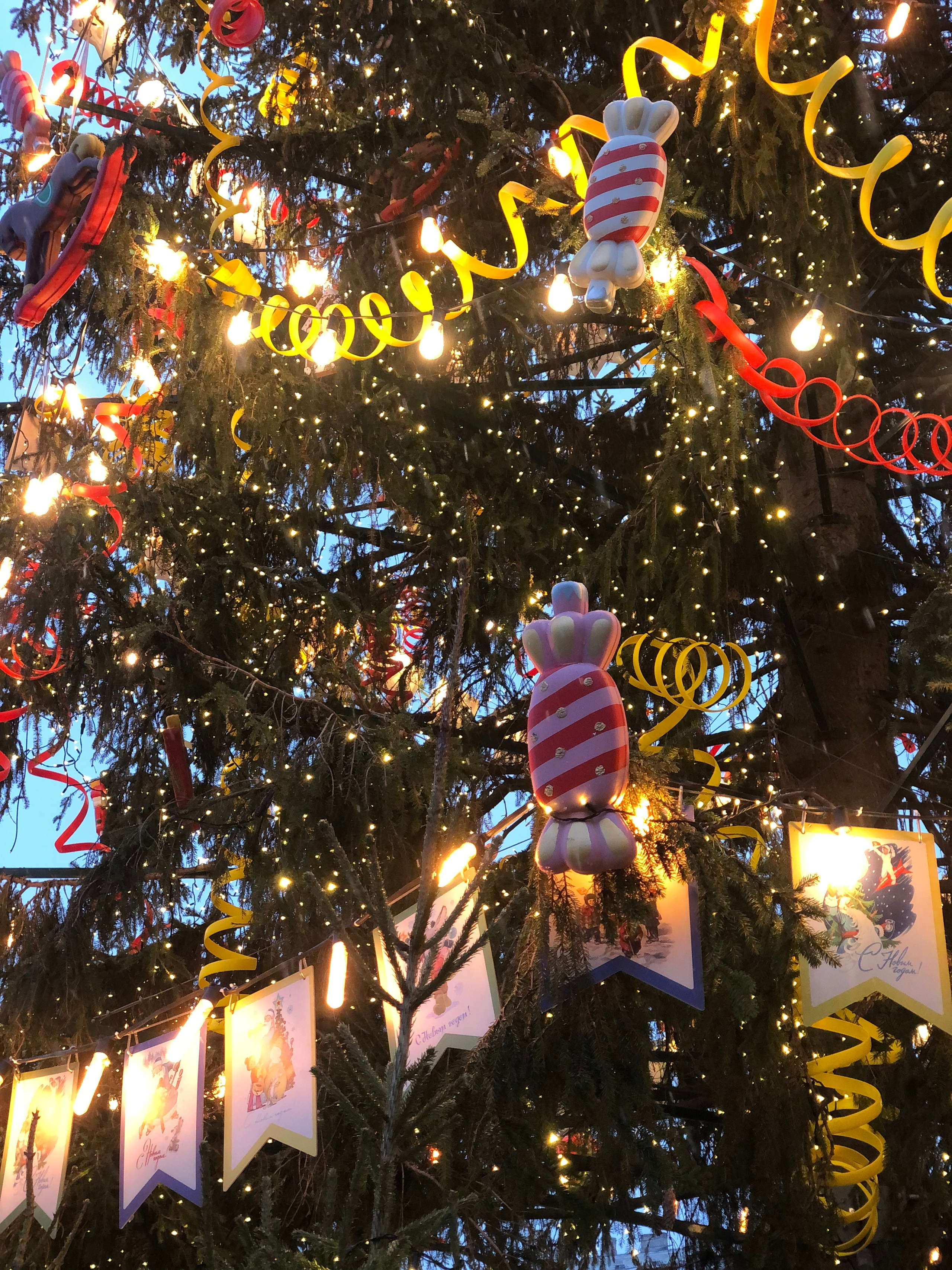 Декабрь. Семейный, Свадебный фотограф СПБ Питер— Романова Екатерина