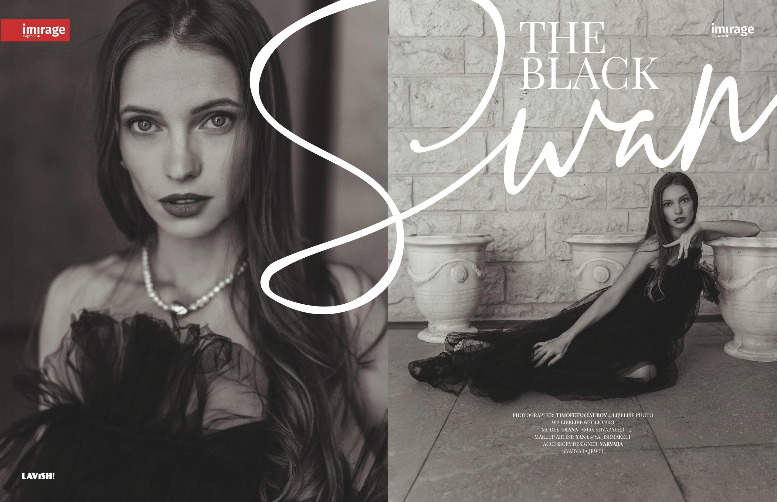 Черный лебедь. Фотограф Тимофеева Любовь