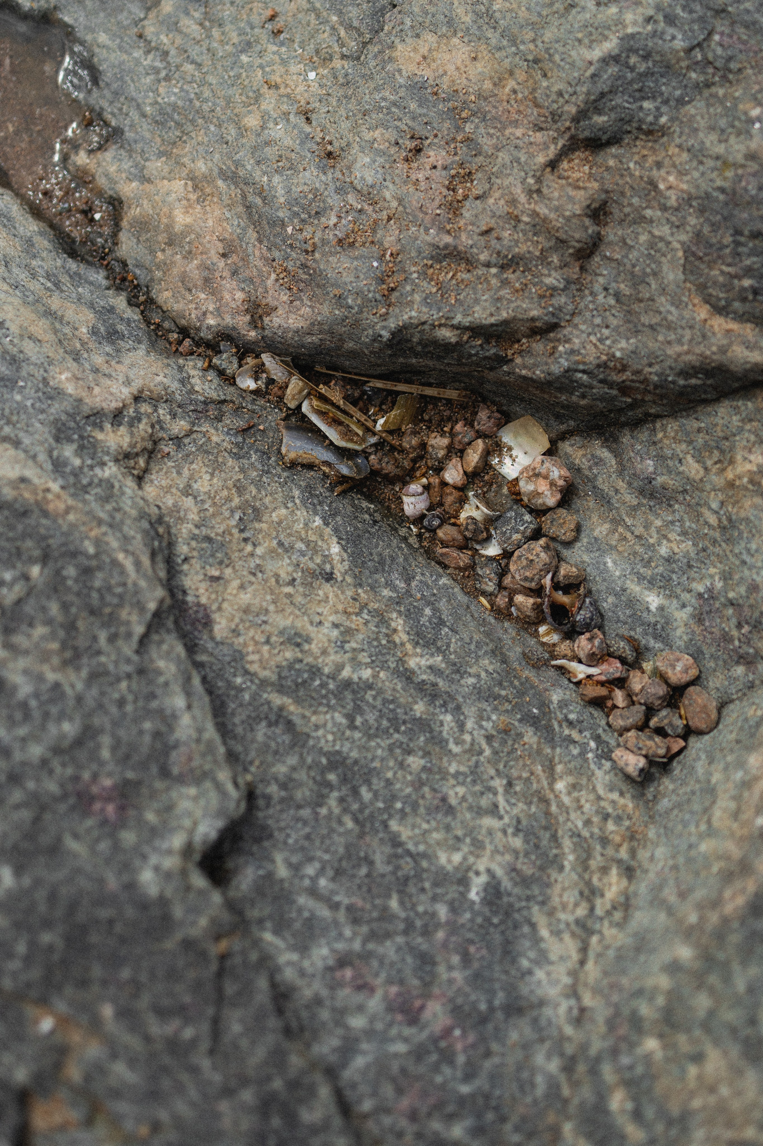 Эстетика П р о Я в л е н и я. Виноградова Маргарита. Фотограф P r o Явления