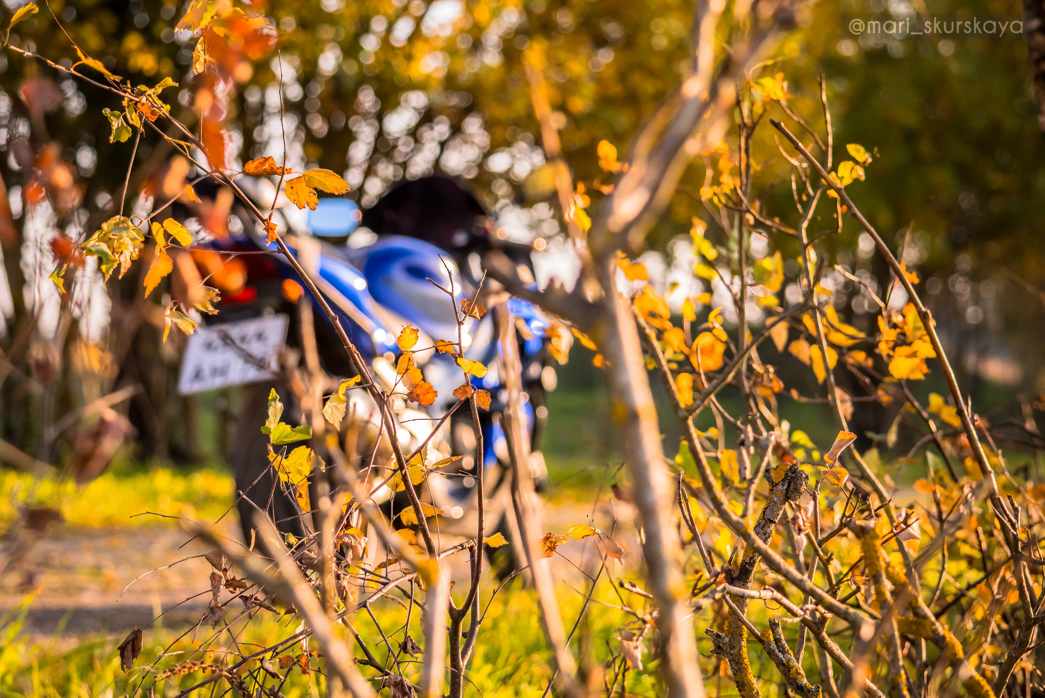 Аня — Фотопрогулка — Honda CBR600 и Honda VTR250. Мотофотограф в Санкт-Петербурге Мария Скурская