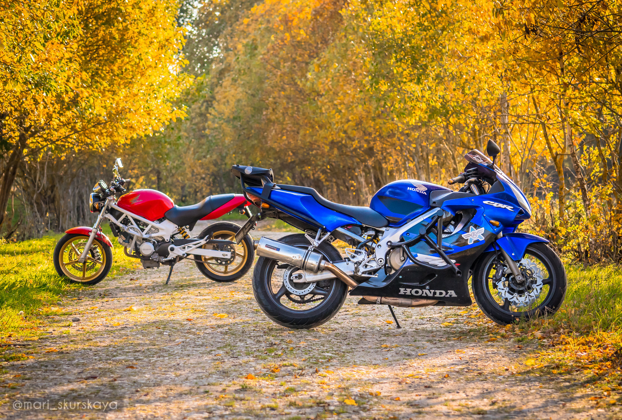 Аня — Фотопрогулка — Honda CBR600 и Honda VTR250. Мотофотограф в Санкт-Петербурге Мария Скурская