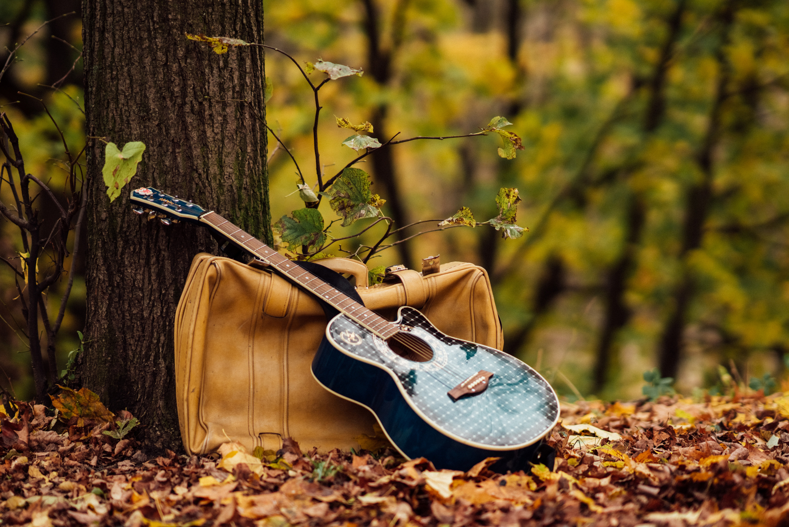 Осенне/зимние истории. Профессиональный детский и семейный фотограф в Москве Диля Грошева