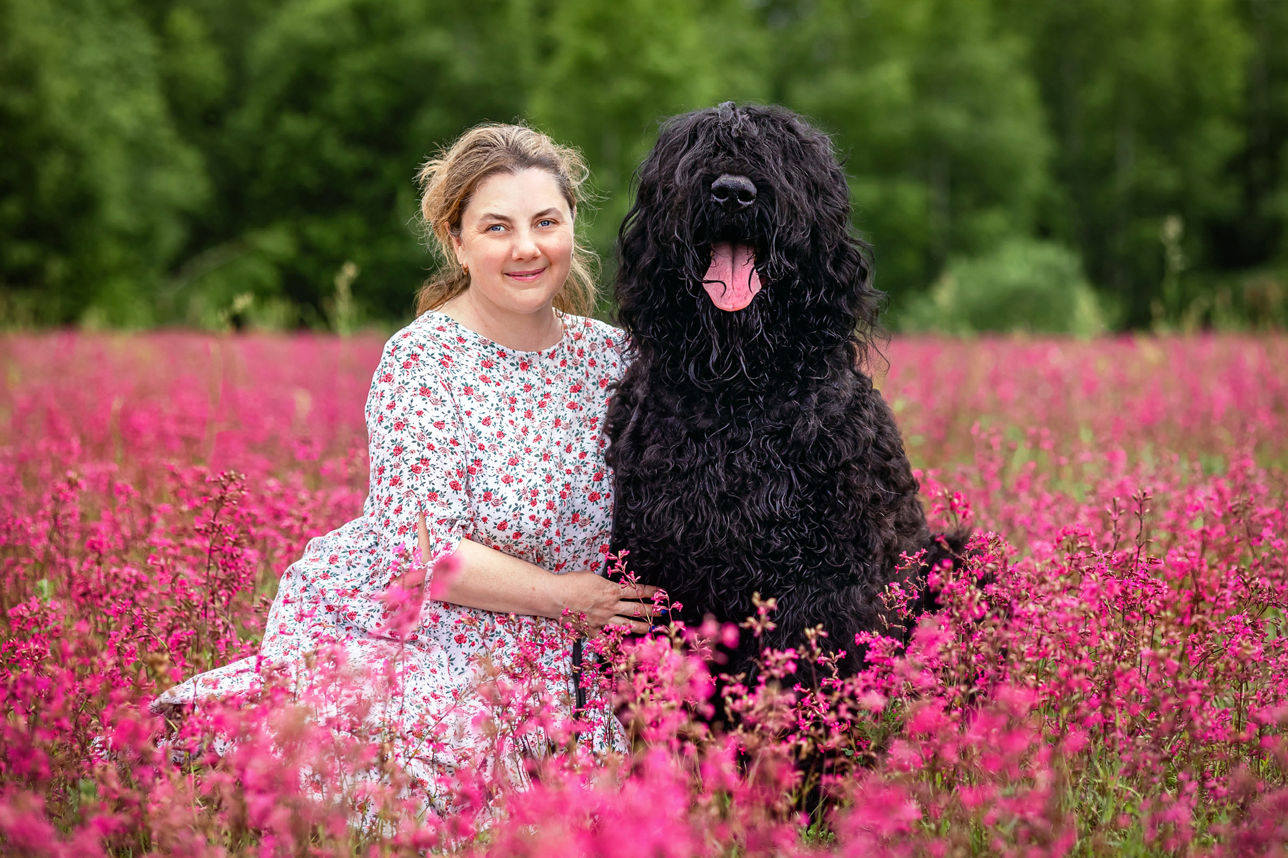 Смолка клейкая. Фотограф анималист Аня Ливанова | Рыбинск