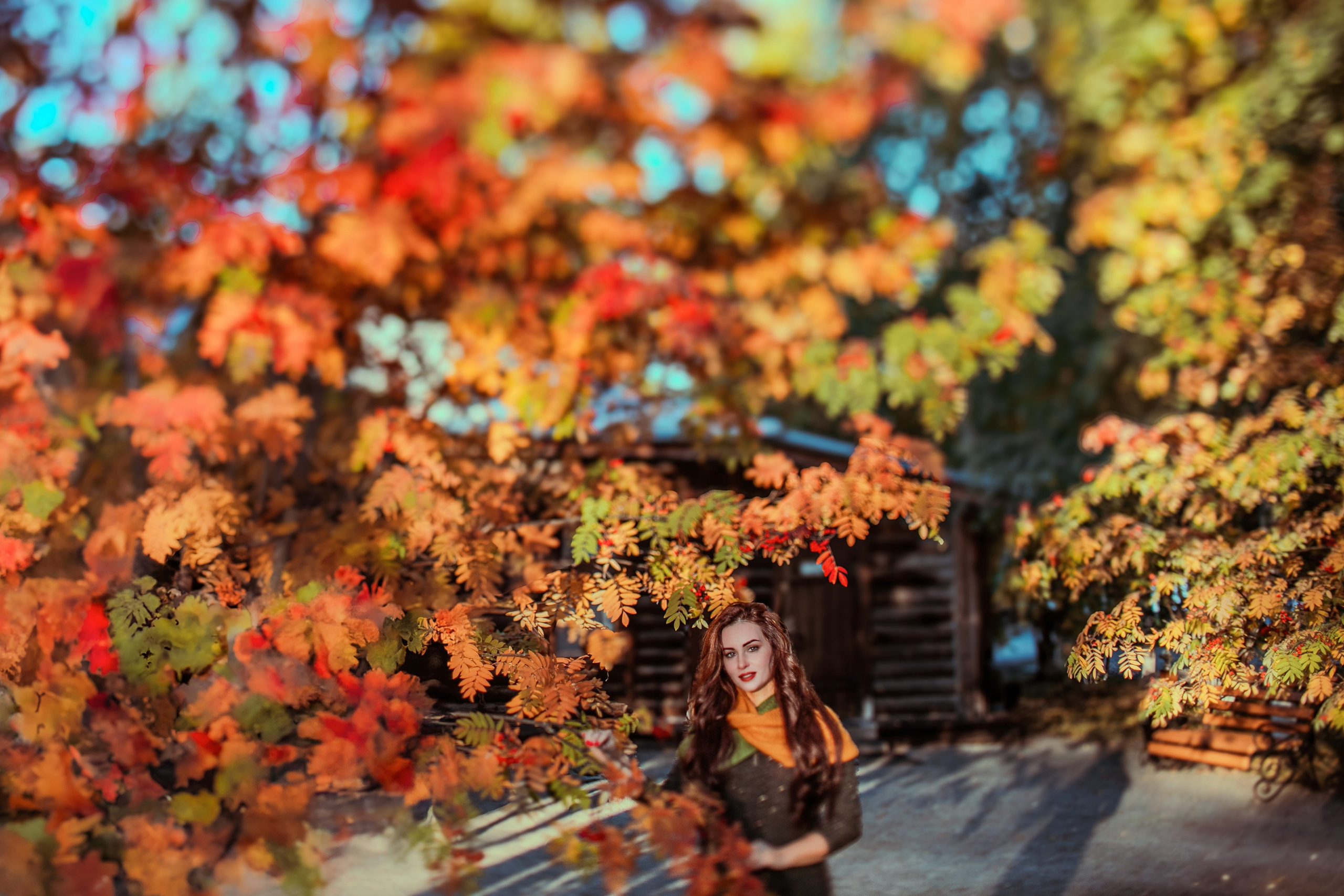 Багрец и золото. Фотограф Елена Вишневская (Ушакова) Нефтеюганск, Сургут, Тюмень