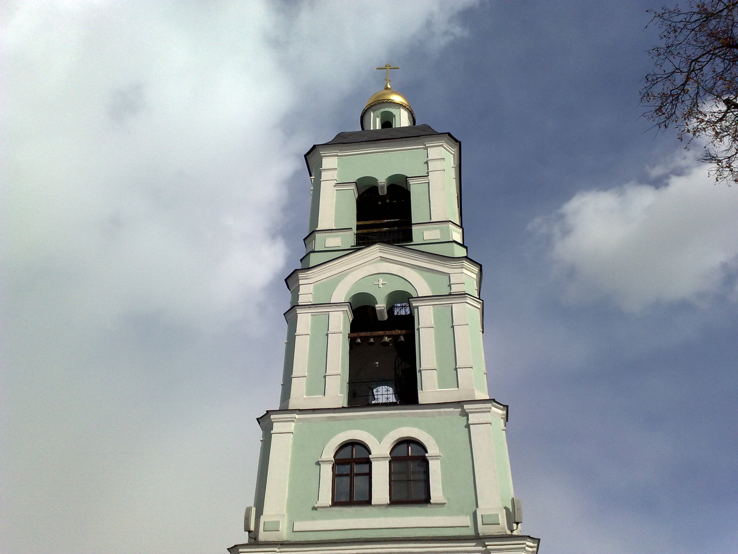 Царицино музей-усадьба. Питомник китайских хохлатых собак Poale Ell: купить щенка в питомнике