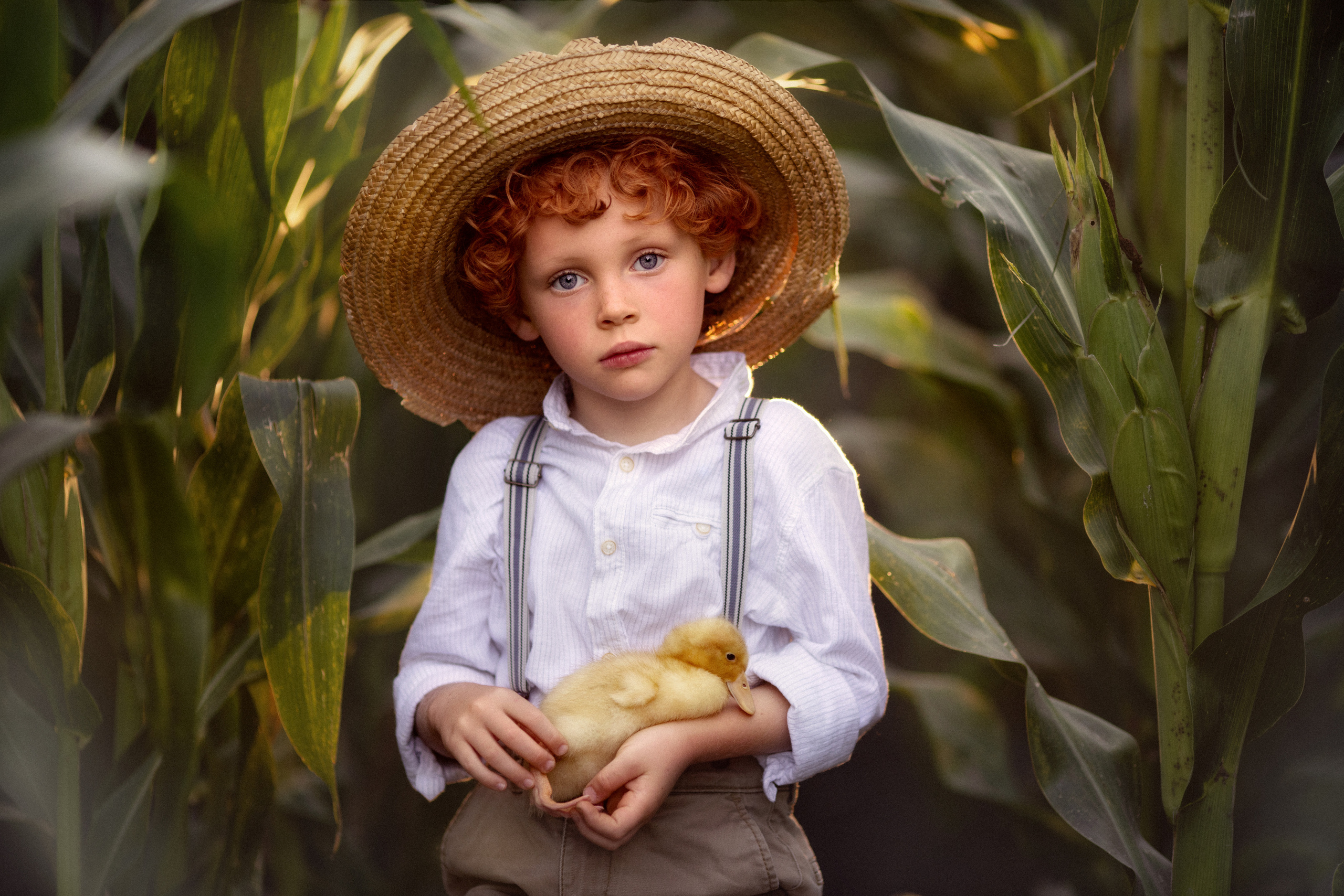 КУКУРУЗА: Яромир и Алиса. Семейный и детский фотограф в Краснодаре