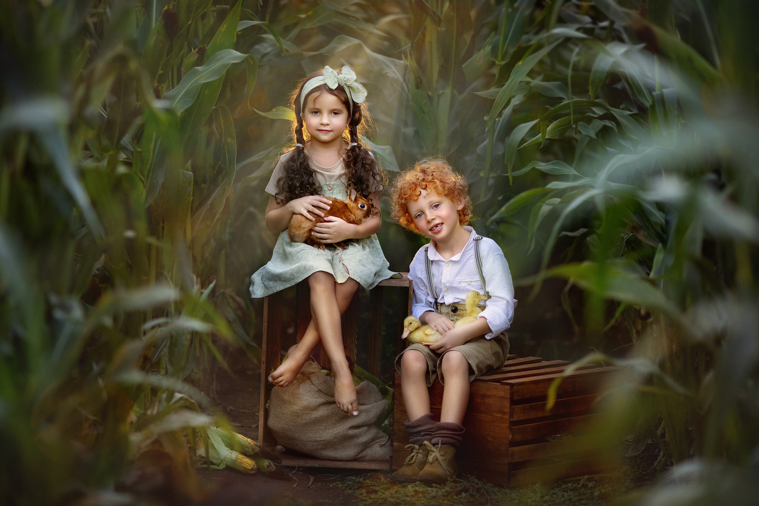 КУКУРУЗА: Яромир и Алиса. Семейный и детский фотограф в Краснодаре