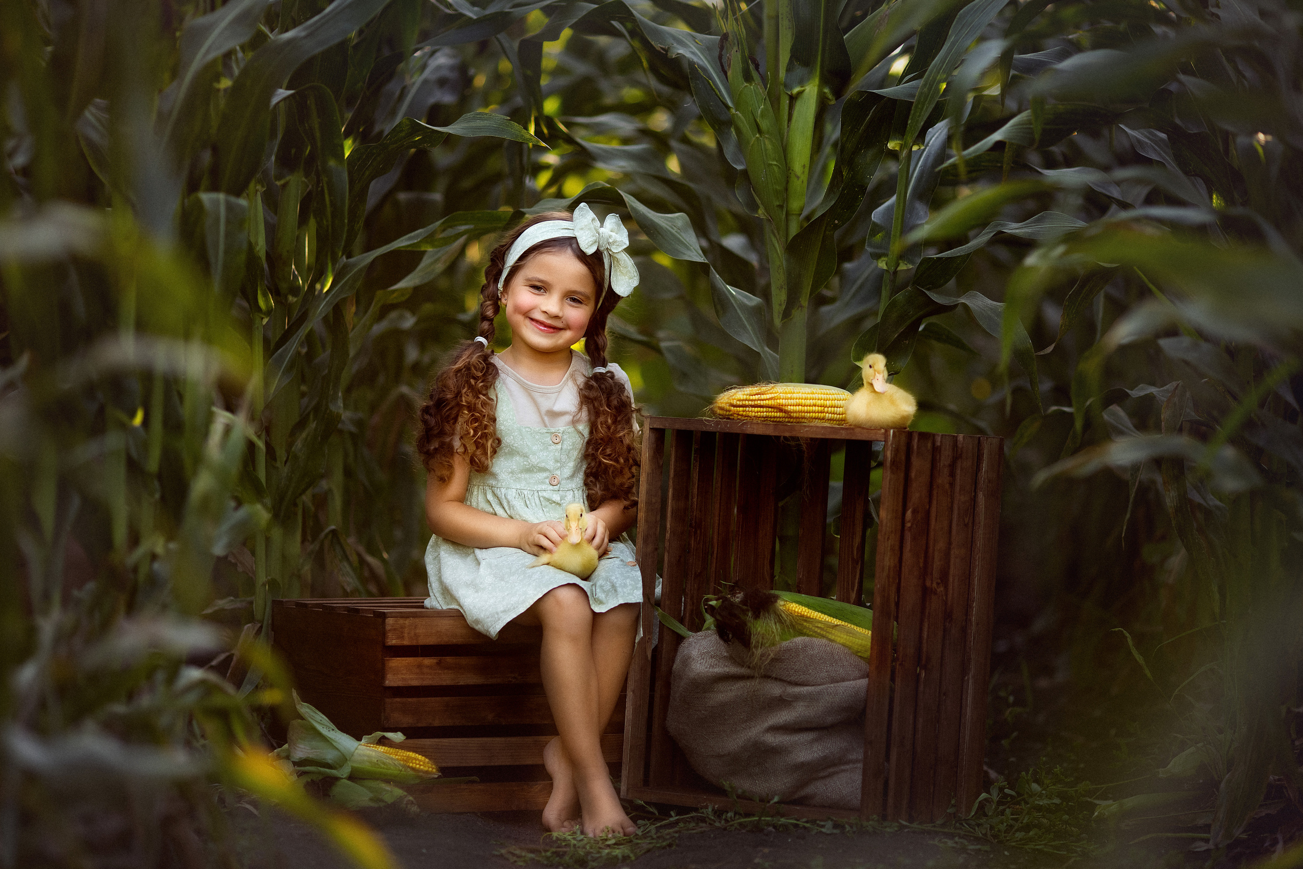 КУКУРУЗА: Яромир и Алиса. Семейный и детский фотограф в Краснодаре