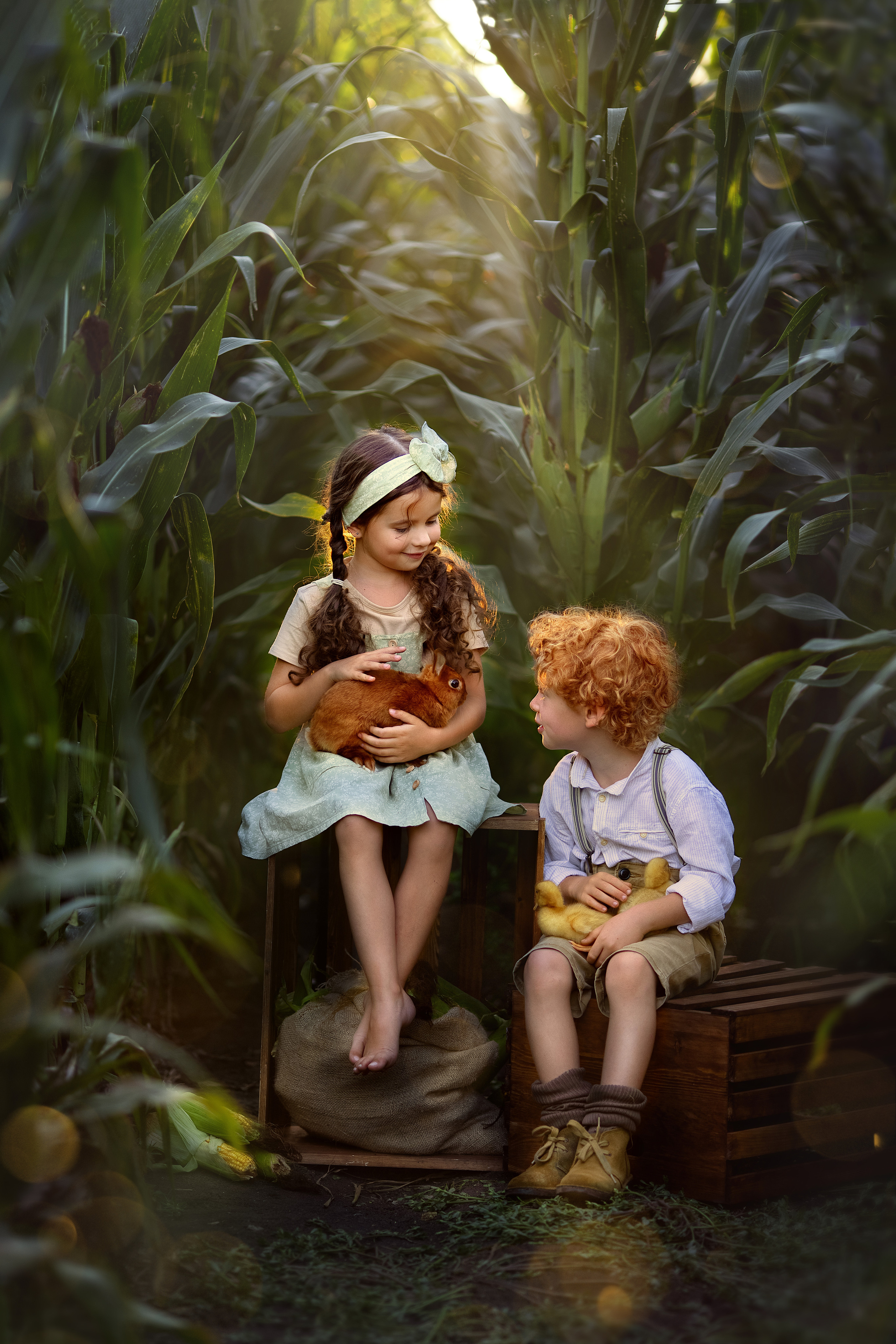 КУКУРУЗА: Яромир и Алиса. Семейный и детский фотограф в Краснодаре