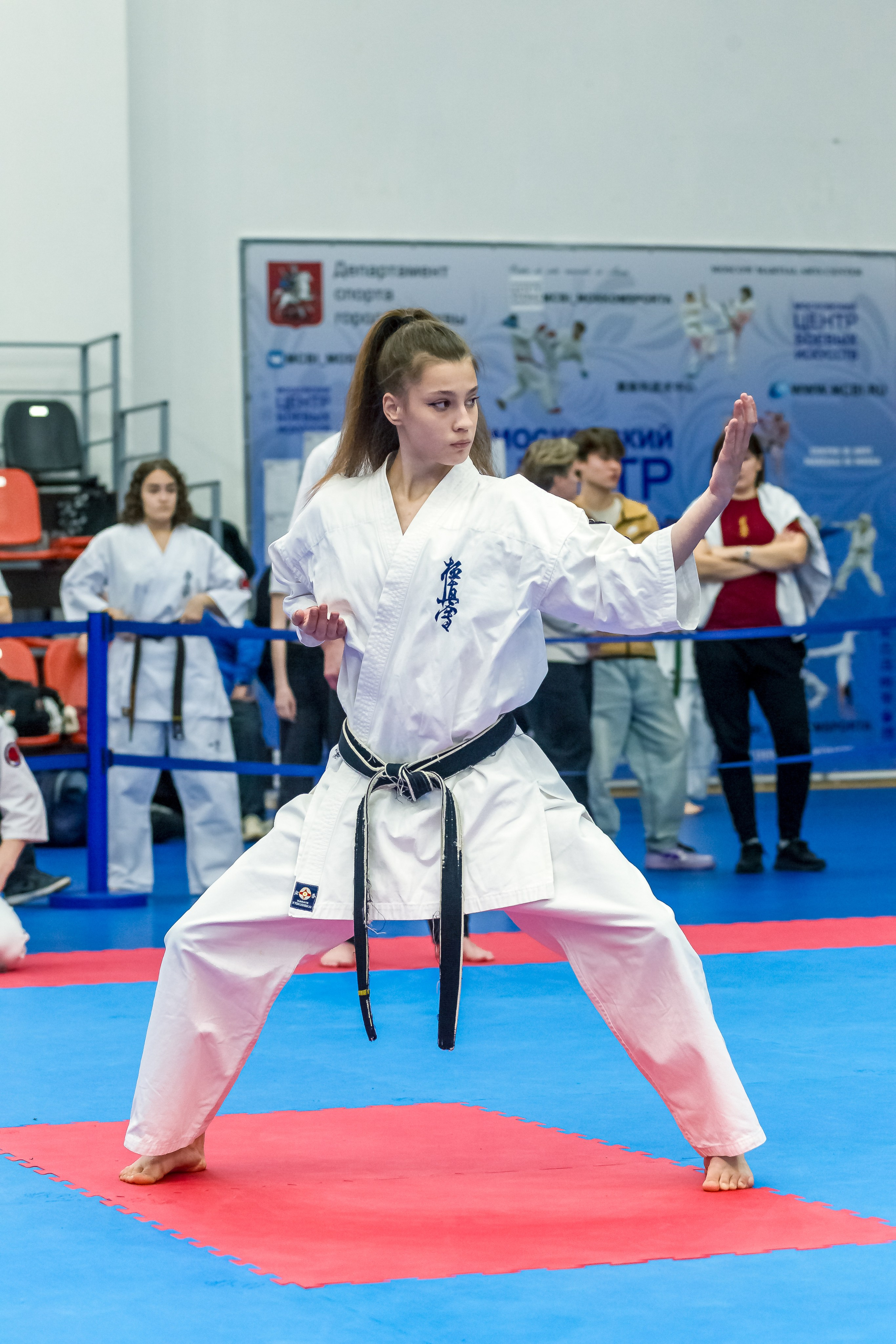 Соревнования по Киокушин памяти С. Увицкого. Репортажная съемка в Москве и области. Анималистика