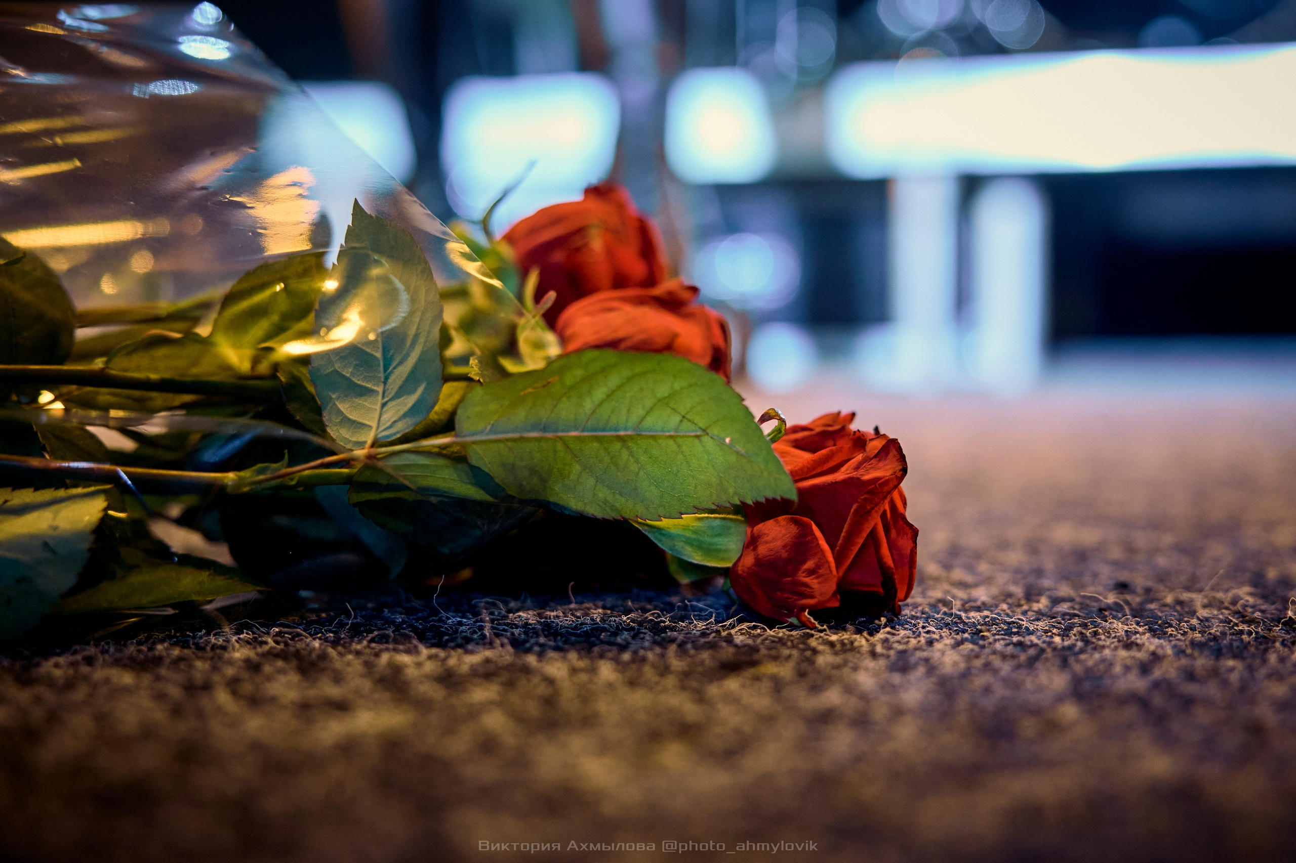 13.10.2024 ДЖОКОНДА в Урбан. Виктория Ахмылова. Фотограф в Москве