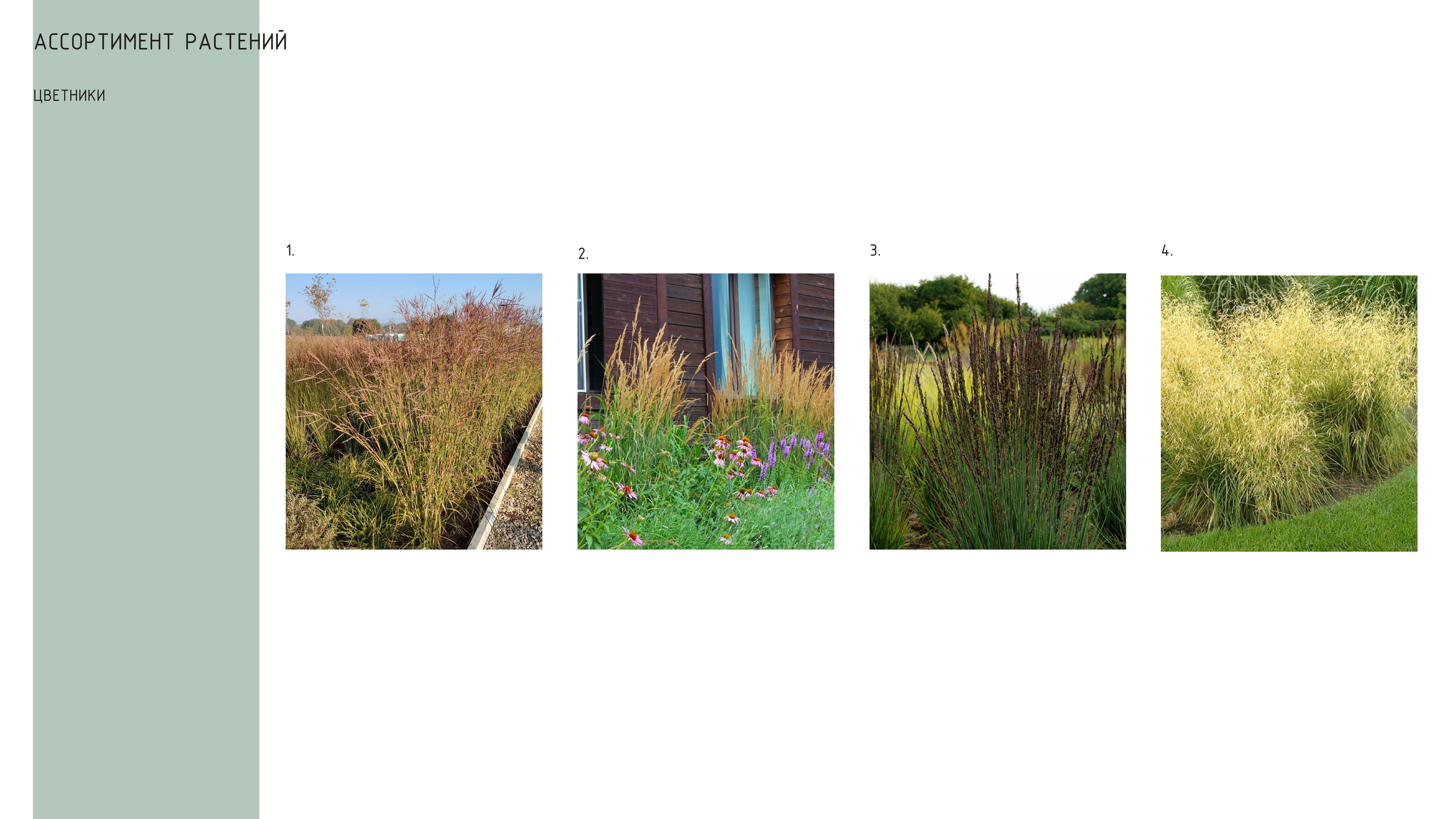 Ландшафтный проект. Ландшафтная архитектура, проектирование и дизайн садов