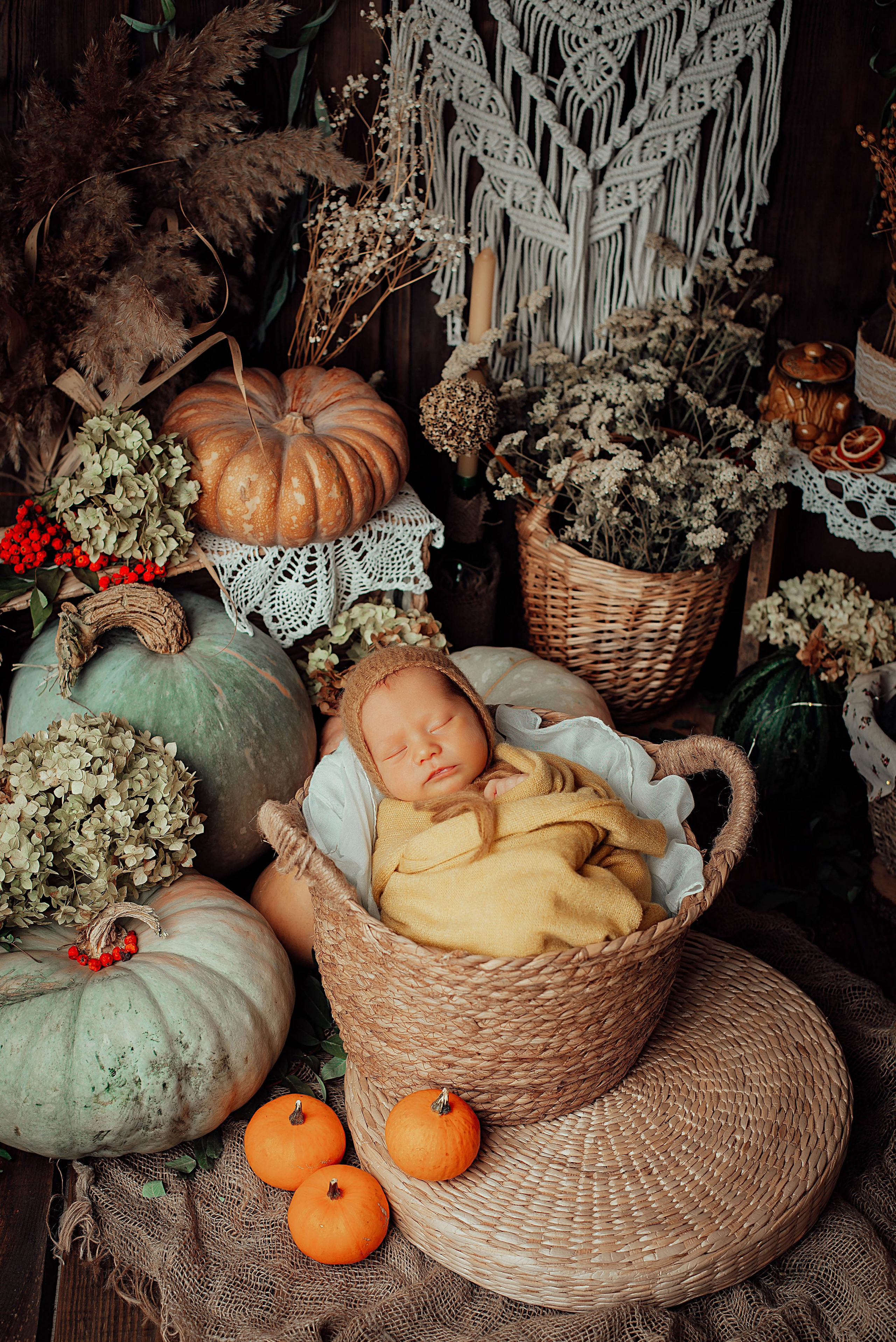 Тыквенный фотопроект. Семейный и детский фотограф новорожденных Ульяновск