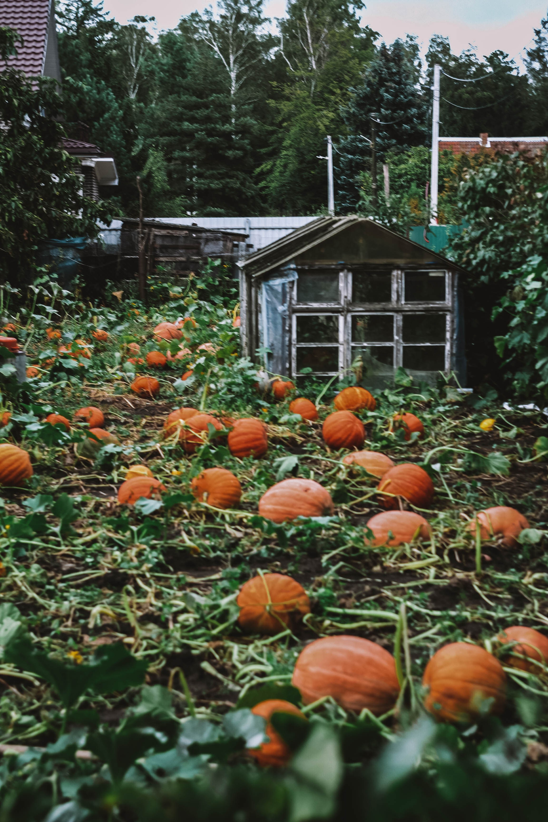 Калининград