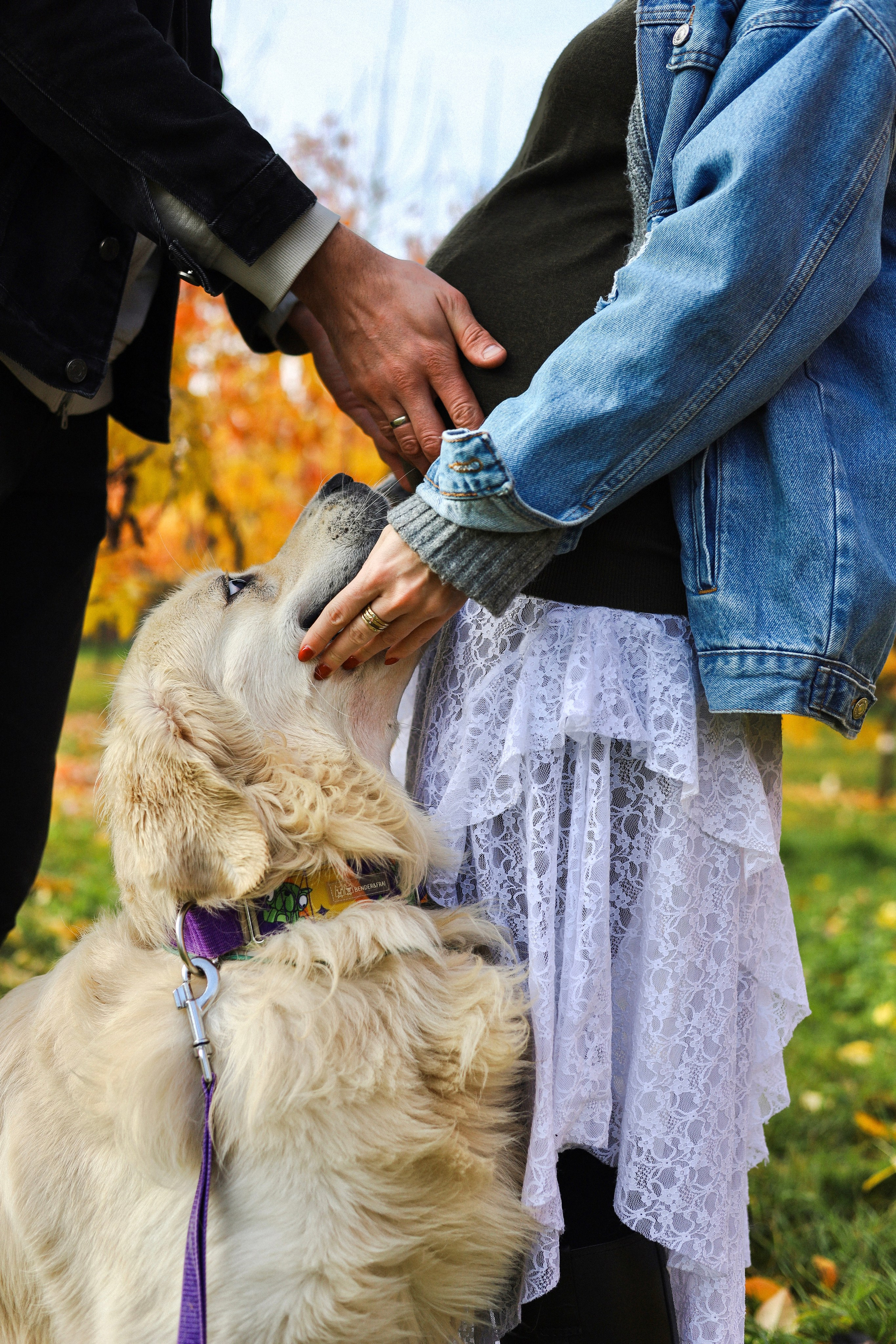 Фрэнк, Даша и Максим. Фотограф-анималист Ксения Шевцова|Москва