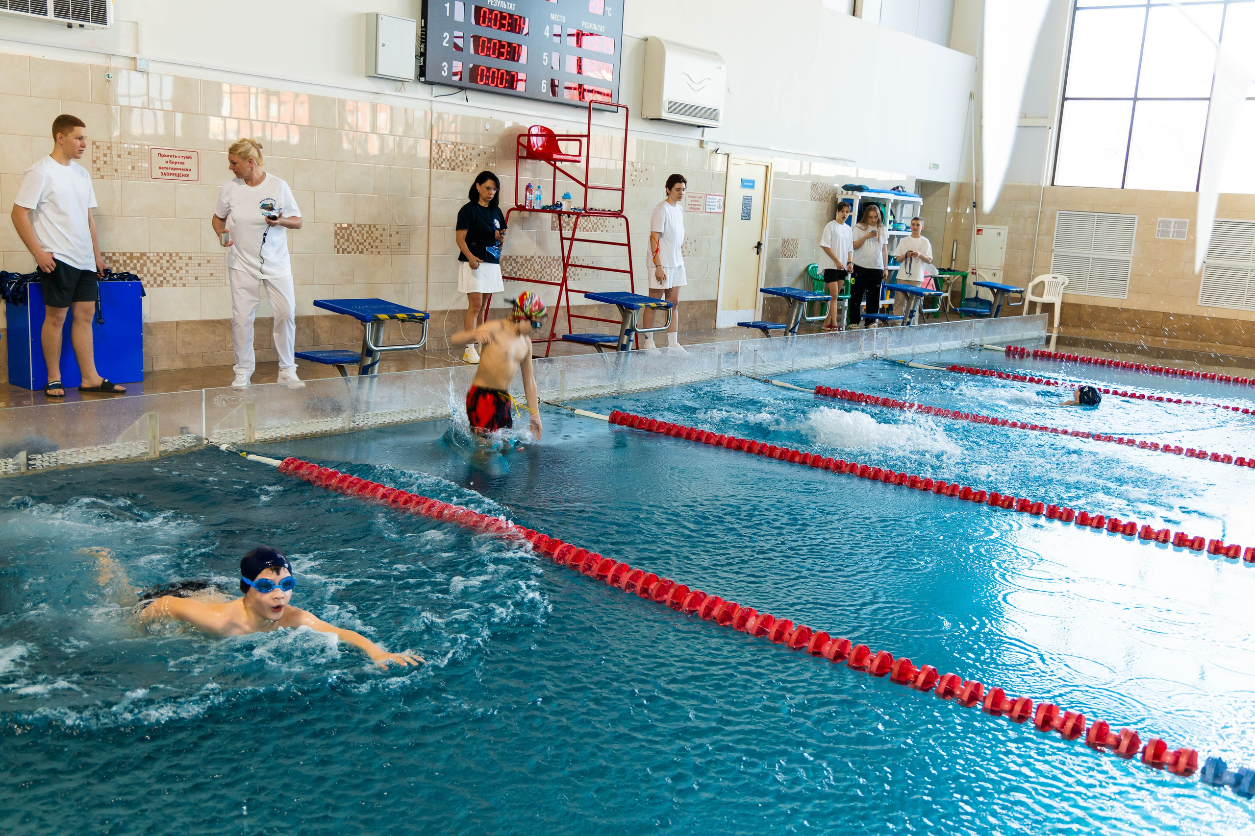 Соревнования по плаванию. Свадебный фотограф в городе Подольск МО и Москва Крылова Ирина