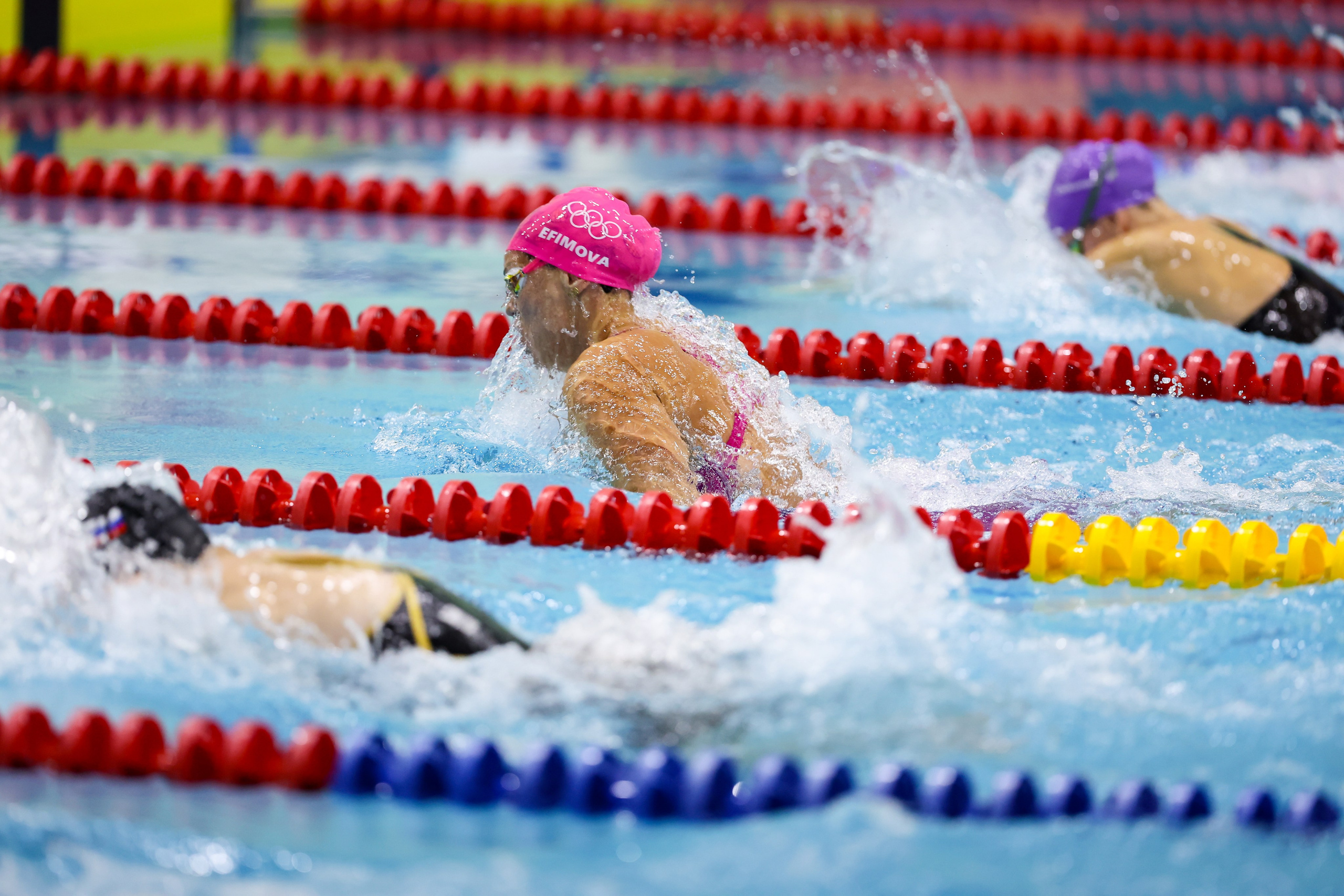 Чемпионат России по плаванию 25 м 21-26.11.2024. Спортивный и репортажный фотограф Антон Тереханов