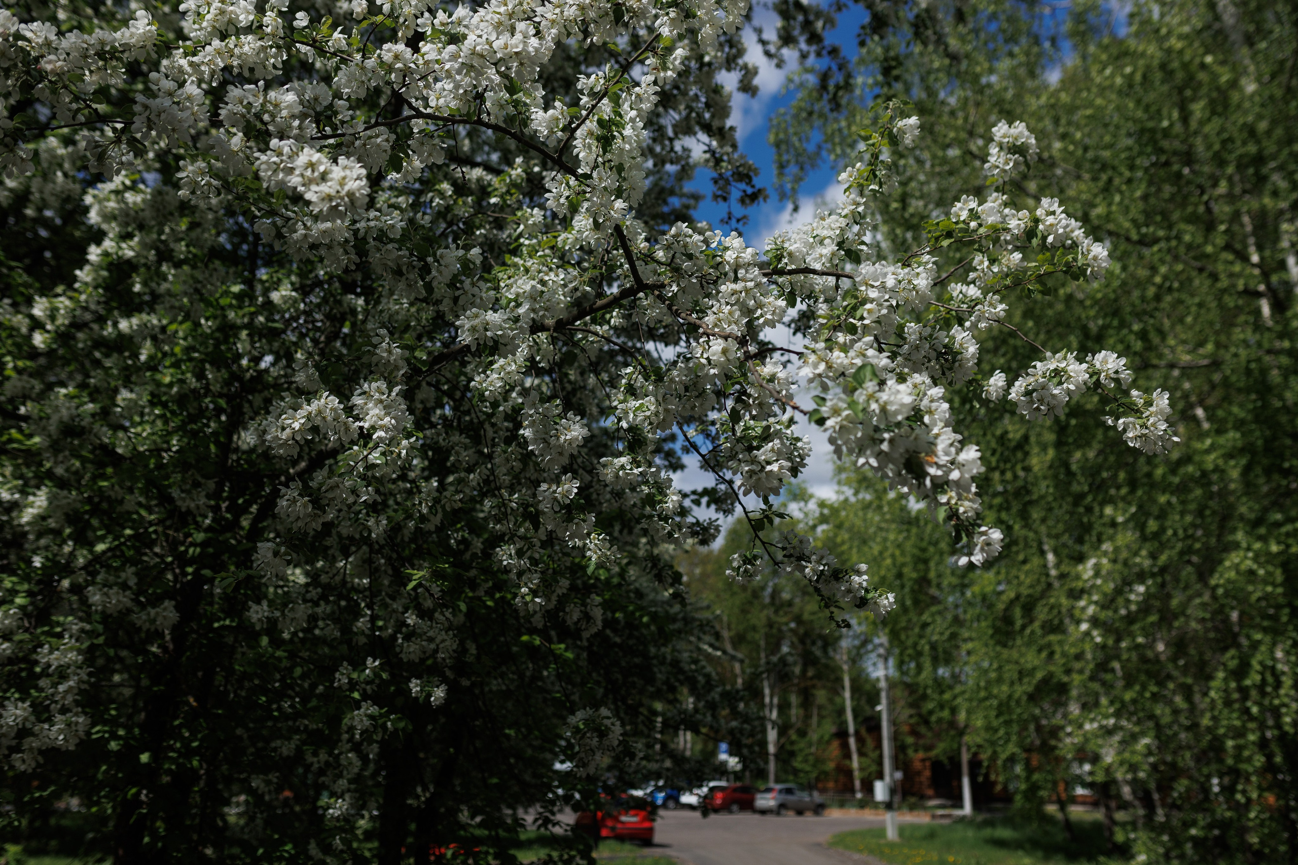 База отдыха «Металлург». Фотограф городских и семейных событий в Нижнем Новгороде Артем Карпухин
