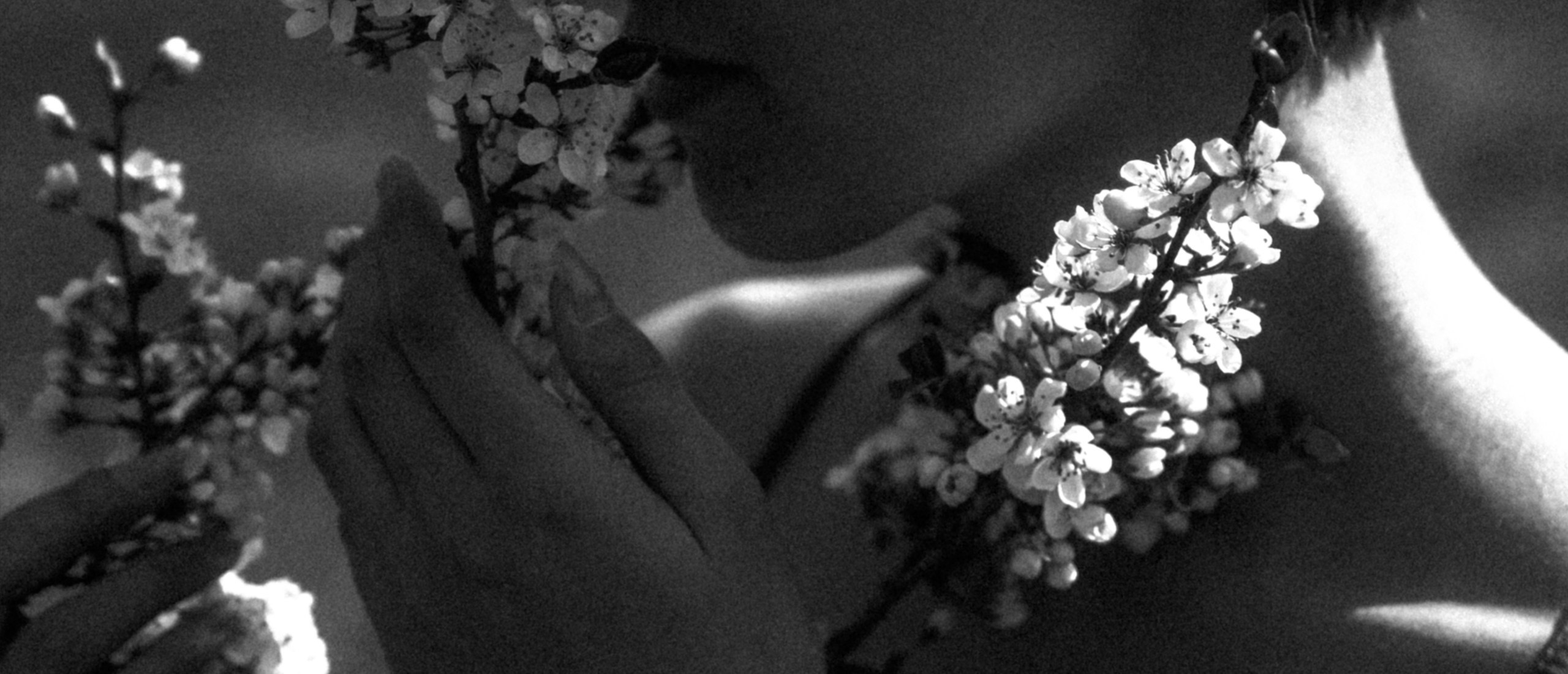 Портретный фотограф, Москва — Рогатин Саша