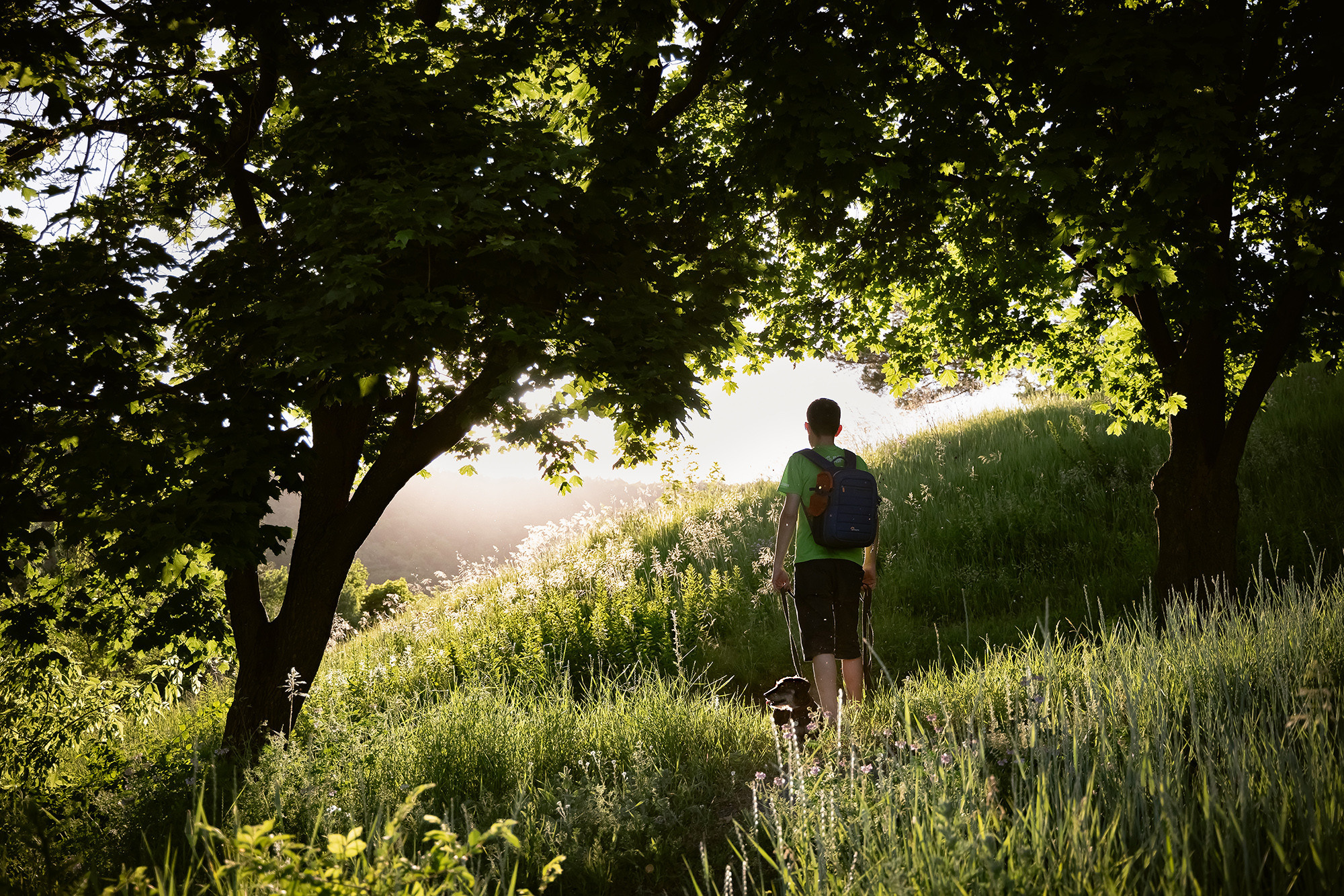 фотограф анималист, Саратов