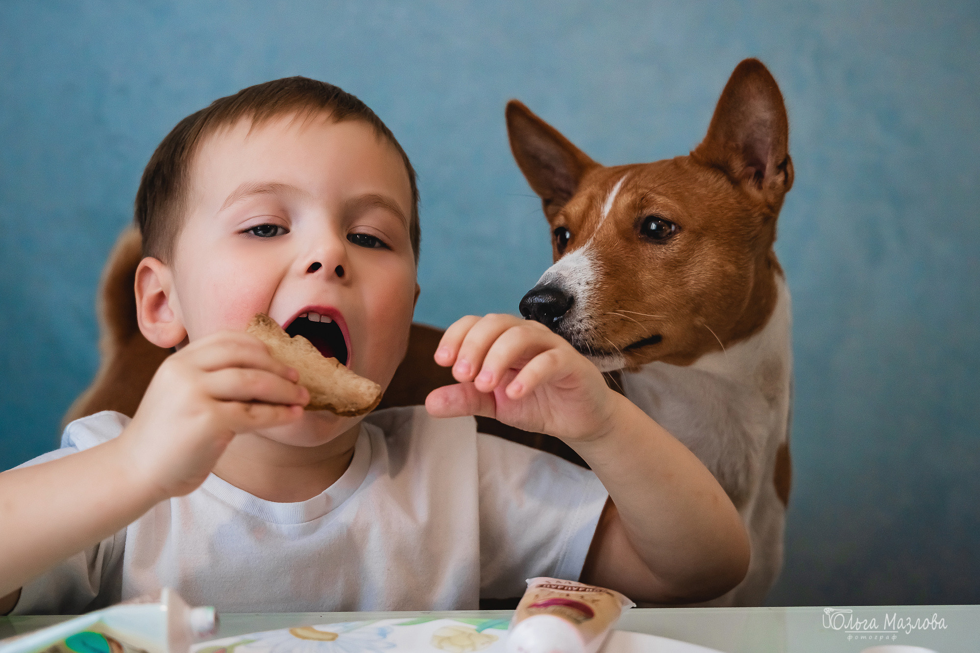 Портрет мальчика с басенджи