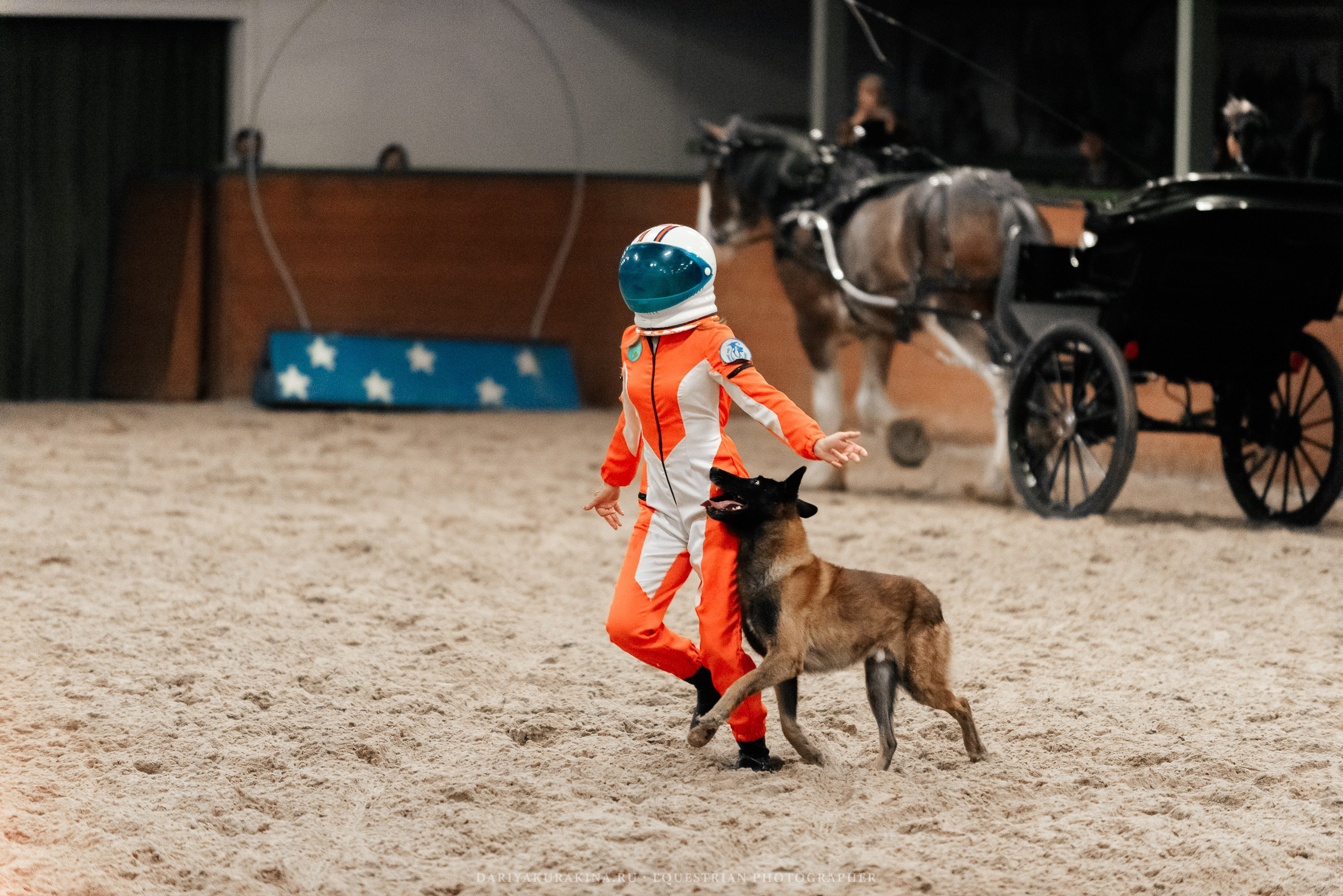 Конное представление «Дыхание Звёзд». Конный фотограф Куракина Дарья • Фотосессии с лошадьми