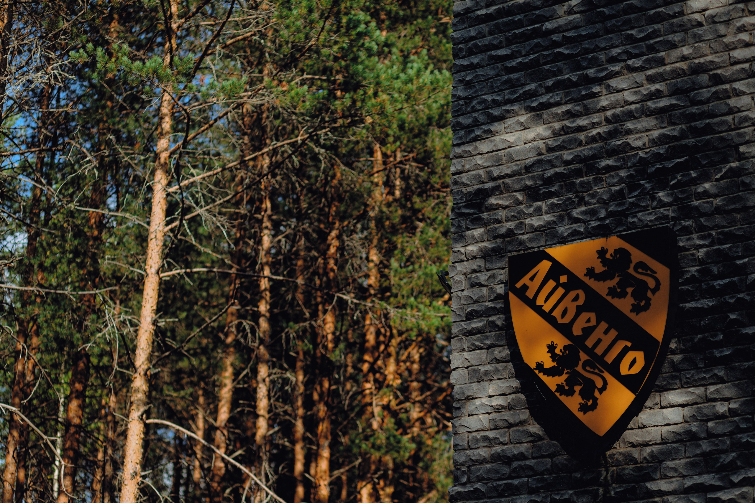 Никита & Мария. Свадебный и семейный фотограф в Кирове, Малых Никита