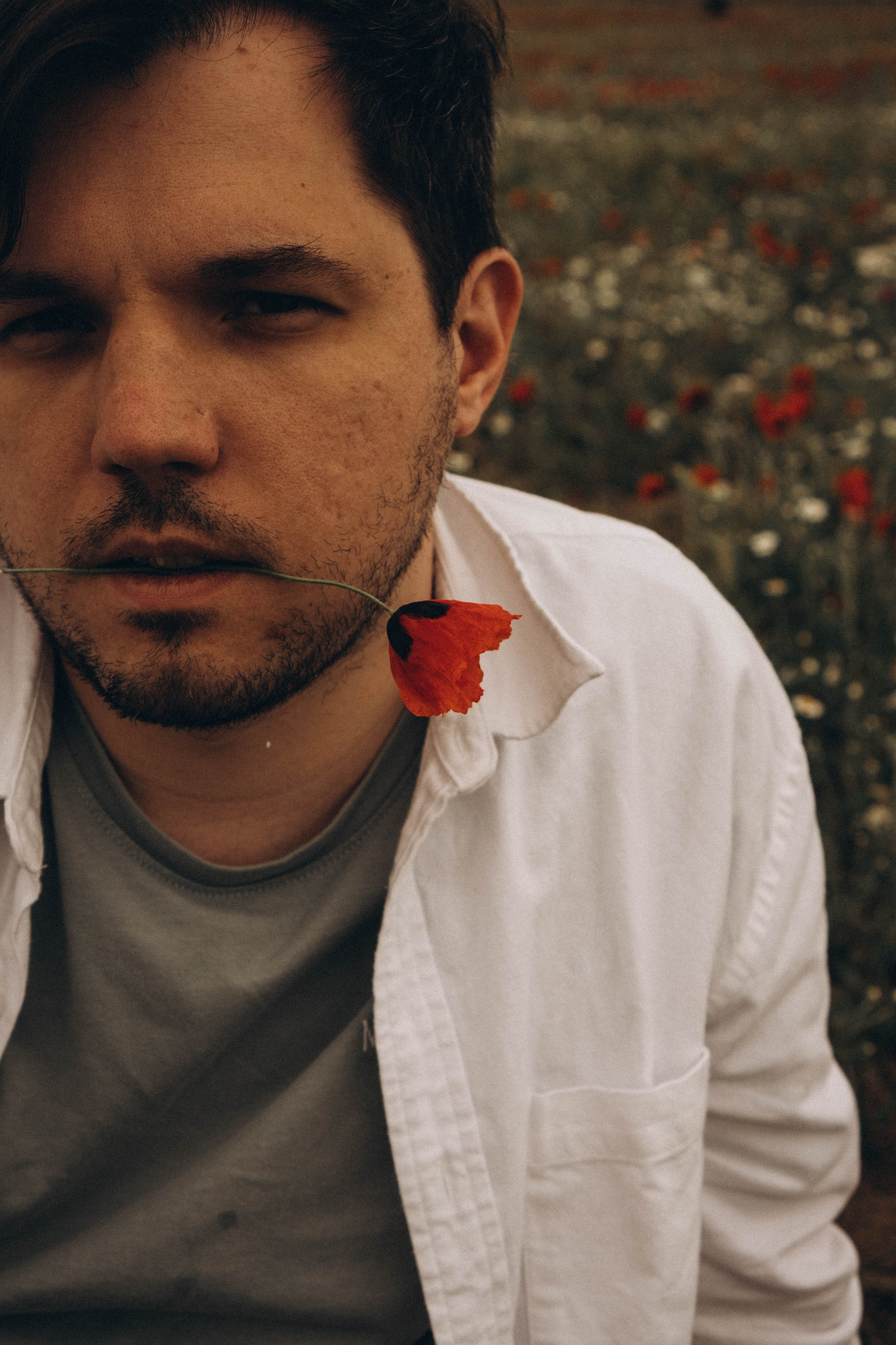 Маки. Профессиональный фотограф, Санкт-Петербург — Виктория Богомолова