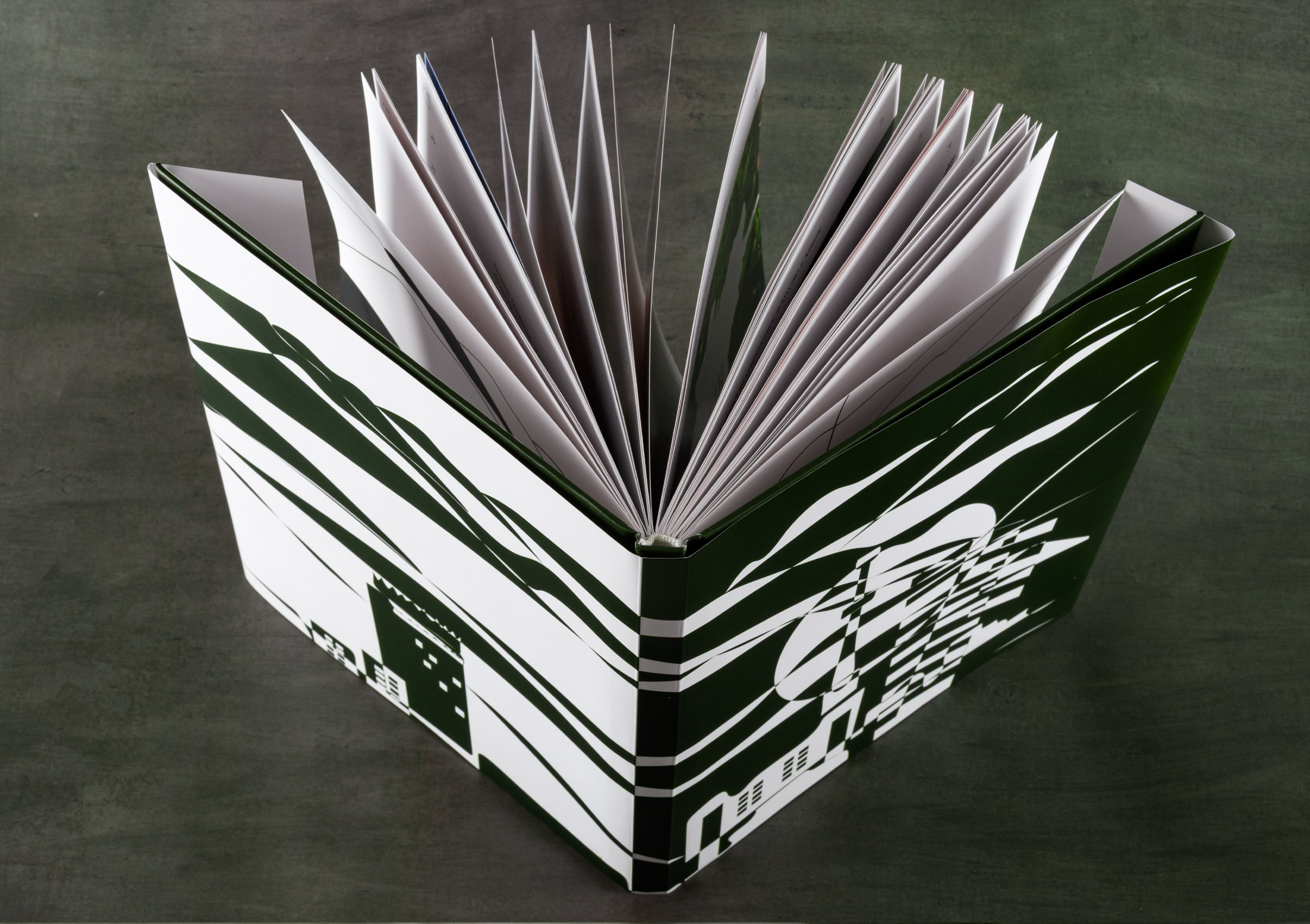 Предметная съёмка книги. Предметный, рекламный, ювелирный фотограф в Москве