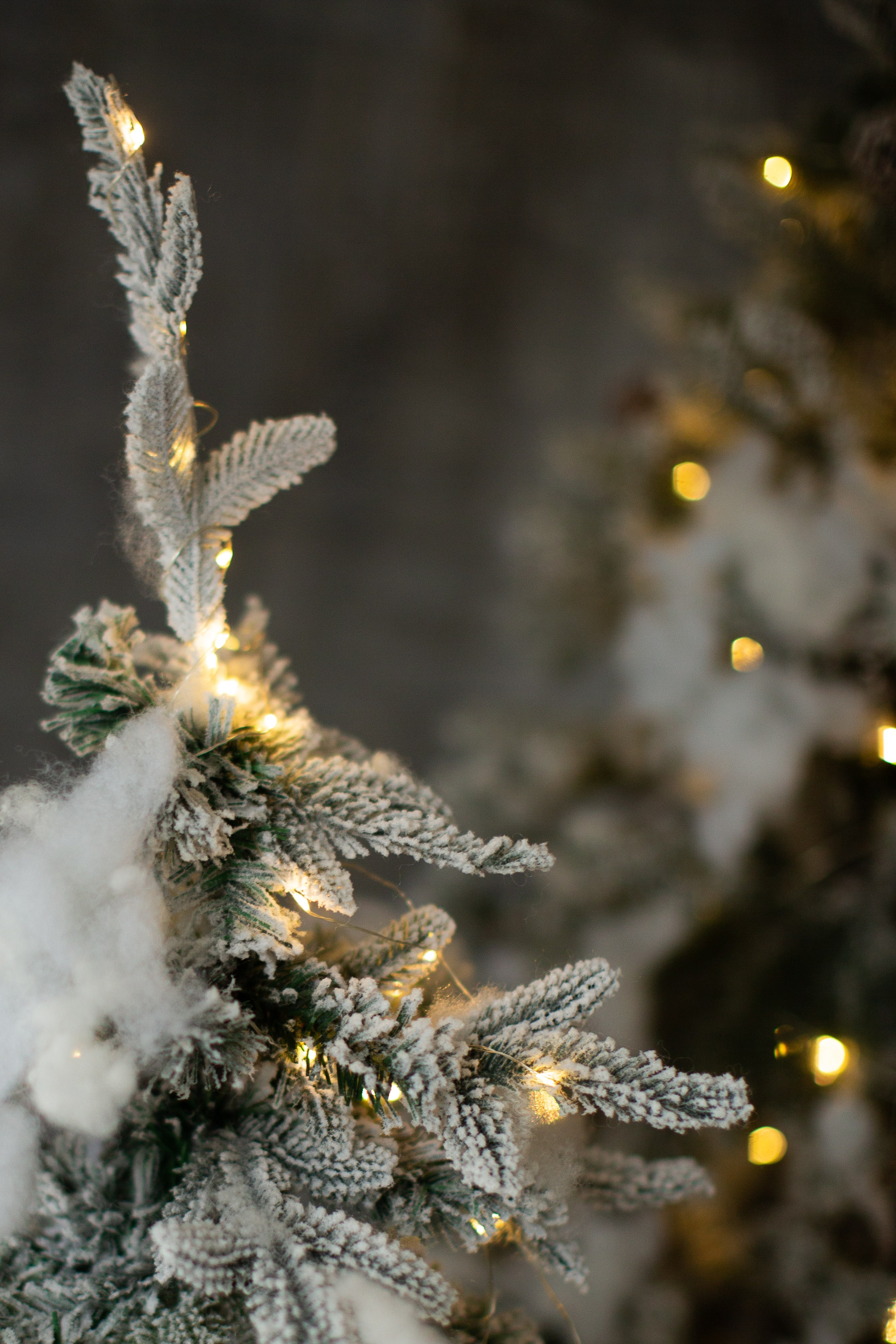 Нг24. Фотограф НатаФото (Наталья Яковенко) Дмитров Москва Питер