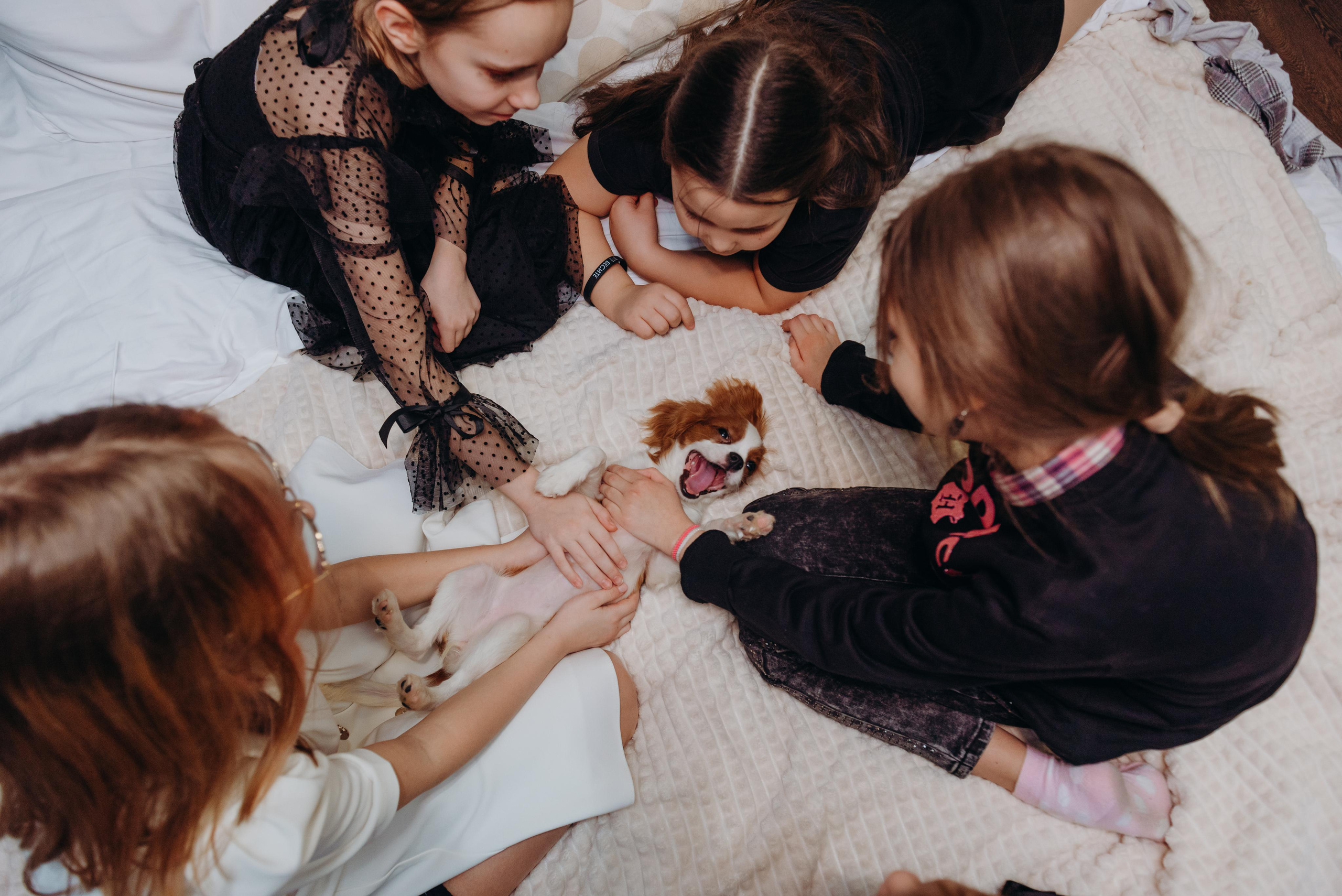 С Днем Рождения, Лиза!. Фотограф Алена Нормальная в Санкт-Петербурге