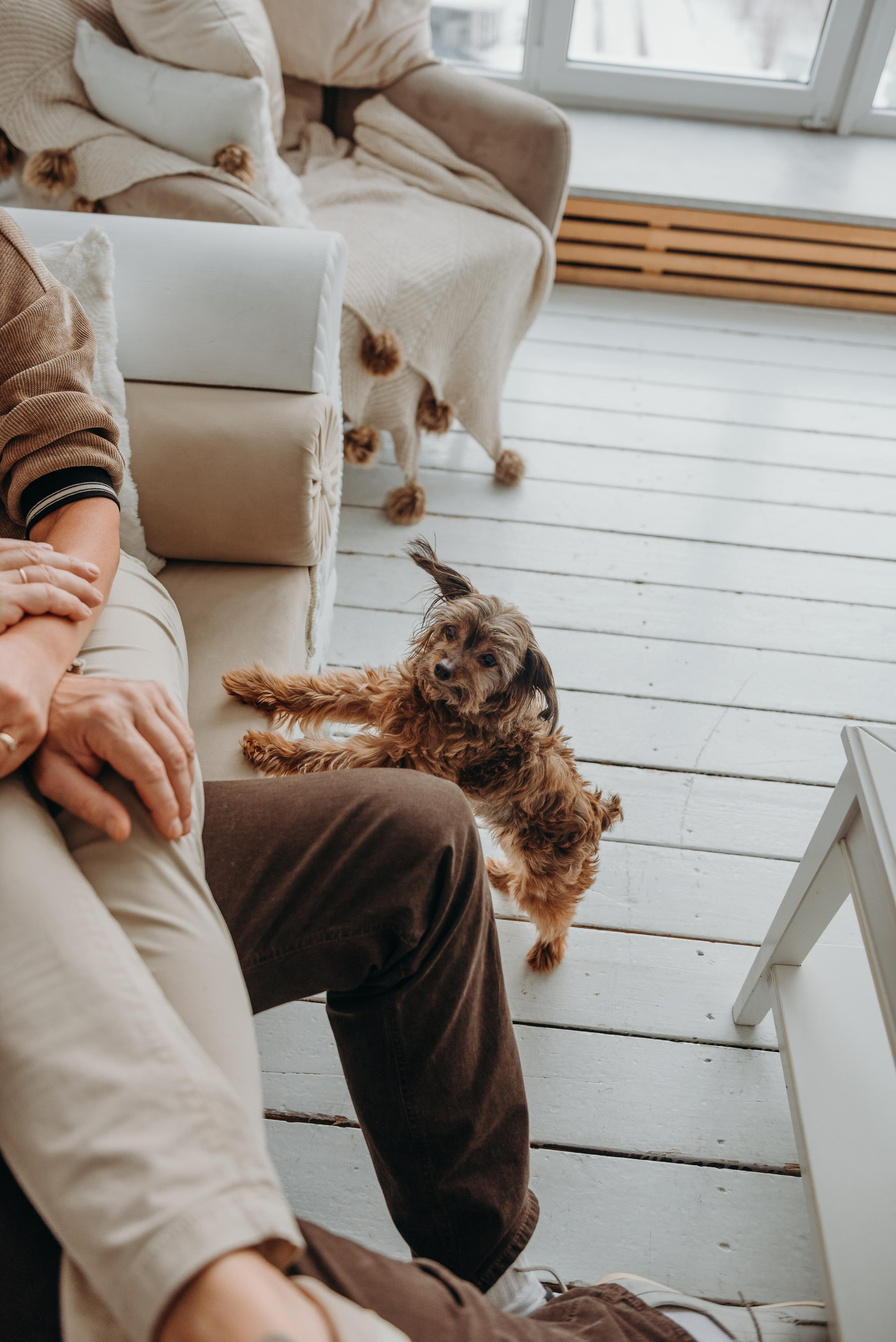 Счастье быть вместе. Фотограф Алена Нормальная в Санкт-Петербурге