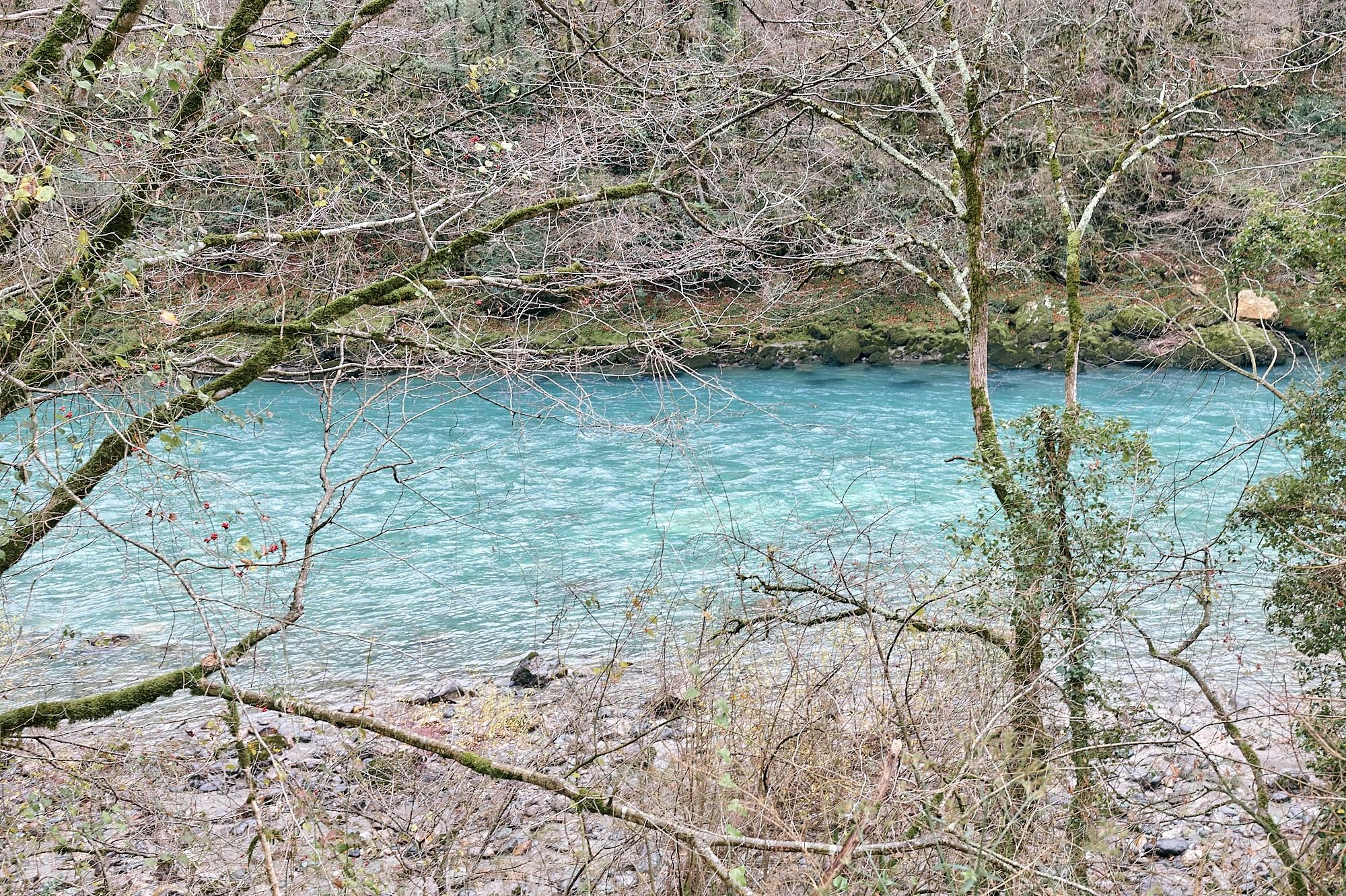 Озеро Рица, Абхазия. Декабрь 2024. Фотографии отовсюду и обо всем