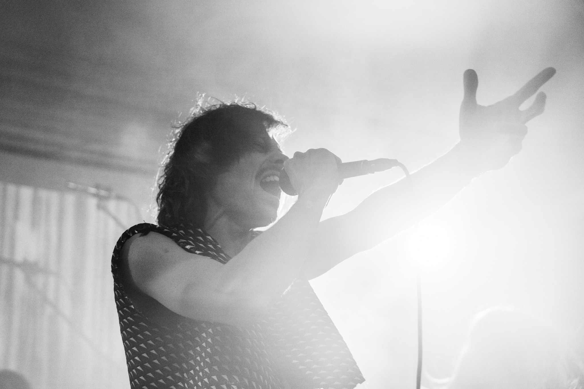 Змееед, Apodemus, 20.12.25, TAGO)))MAGO)))