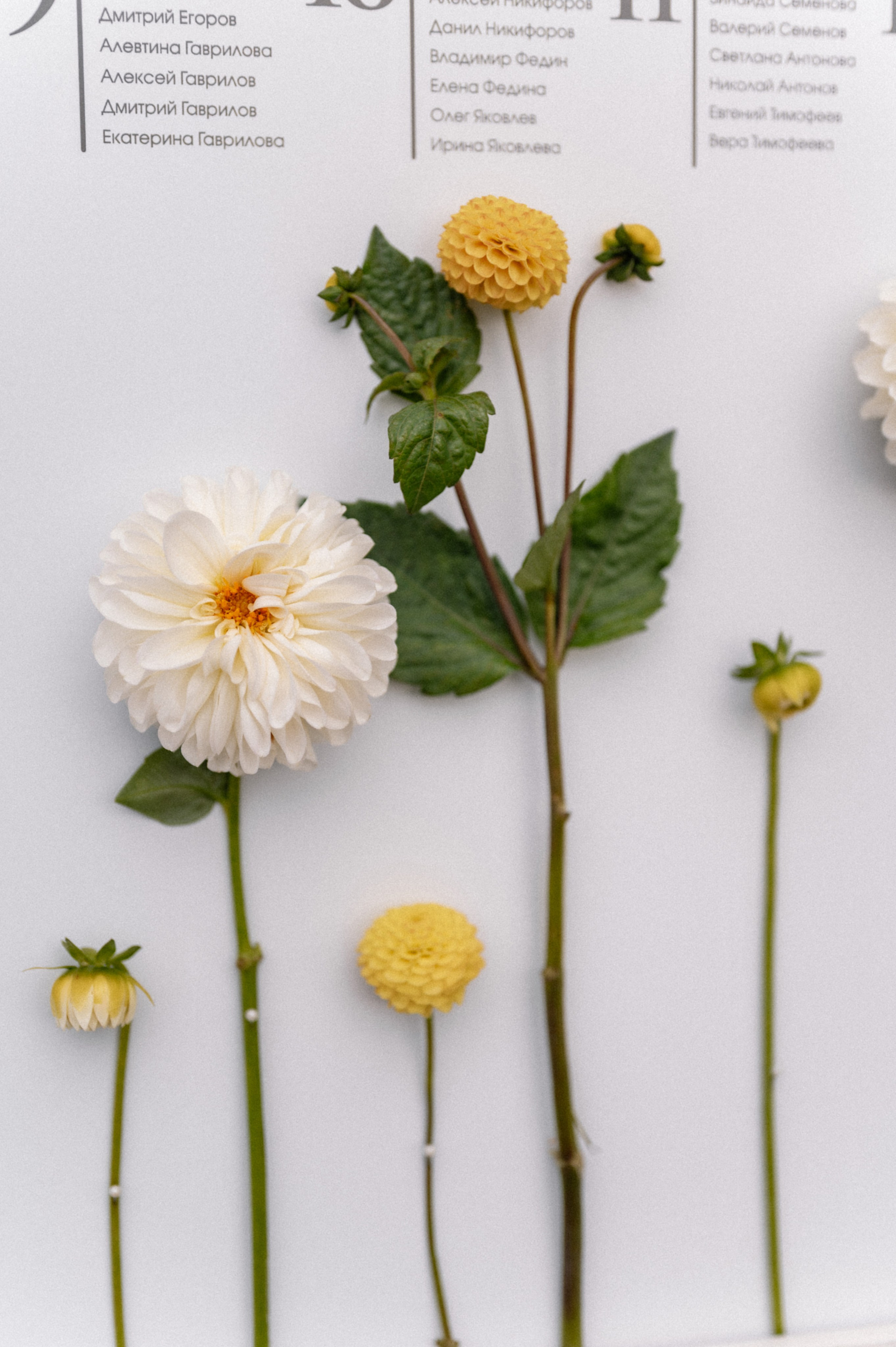Роман и Виктория. Свадебный и семейный фотограф в Чебоксарах Ирина Левнер