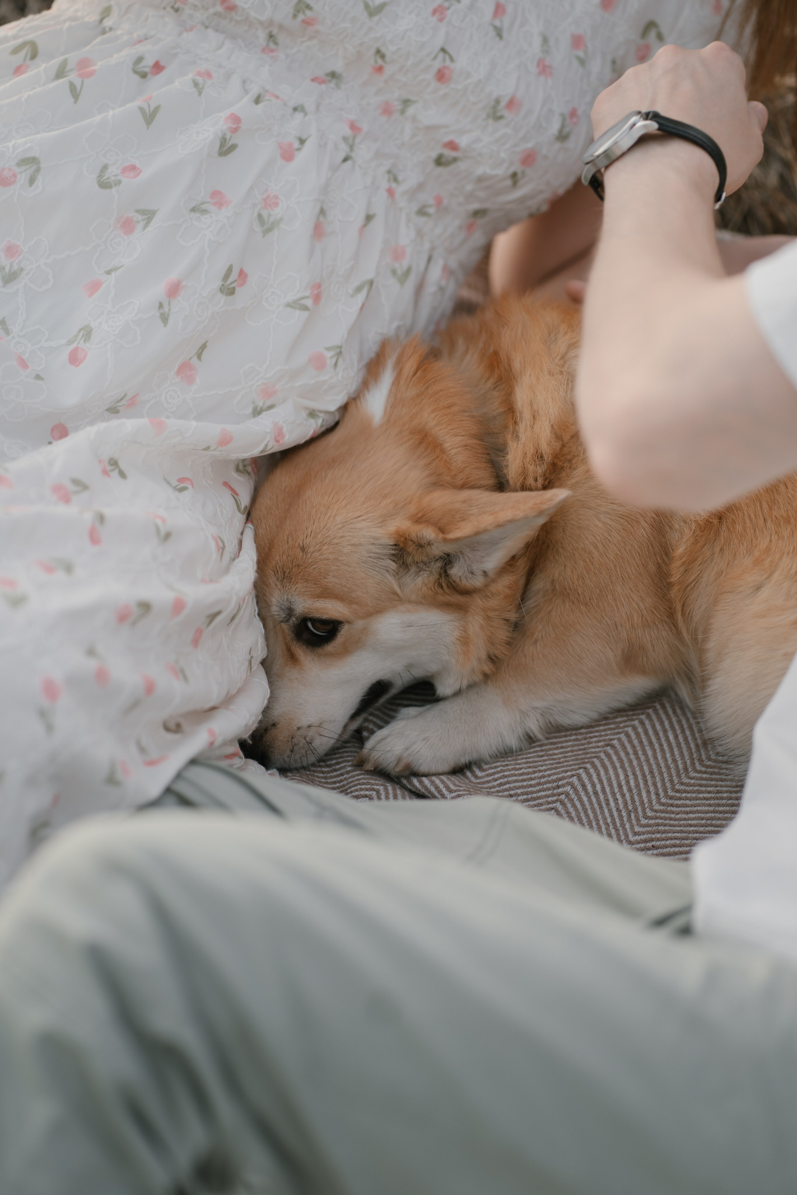 На закате. Евгения Арефьева — свадебный и портретный фотограф в Чите