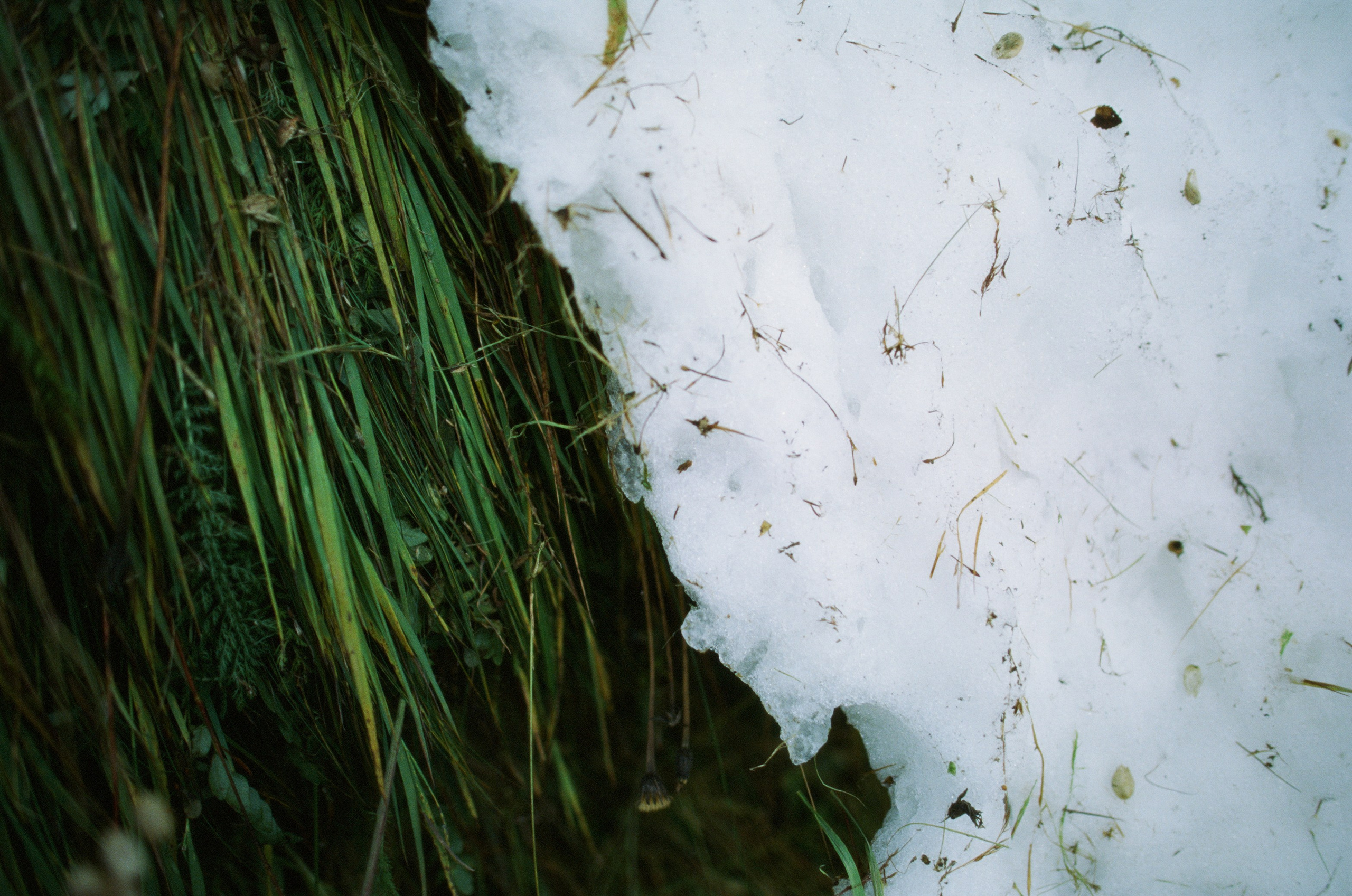 Wasted // italy, dolomites V. EVER EXPOSED