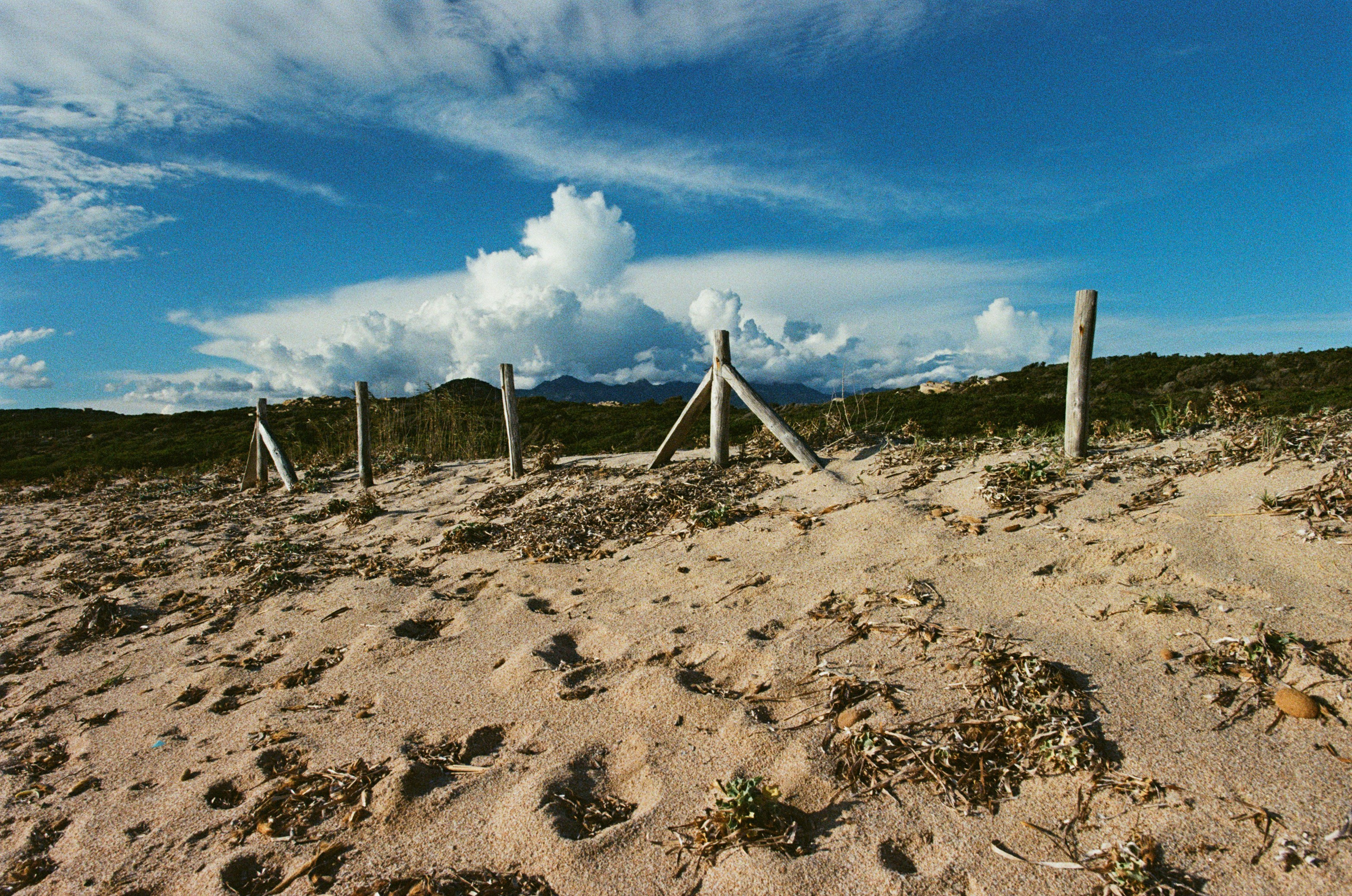 Silence is also an answer // corsica III. EVER EXPOSED