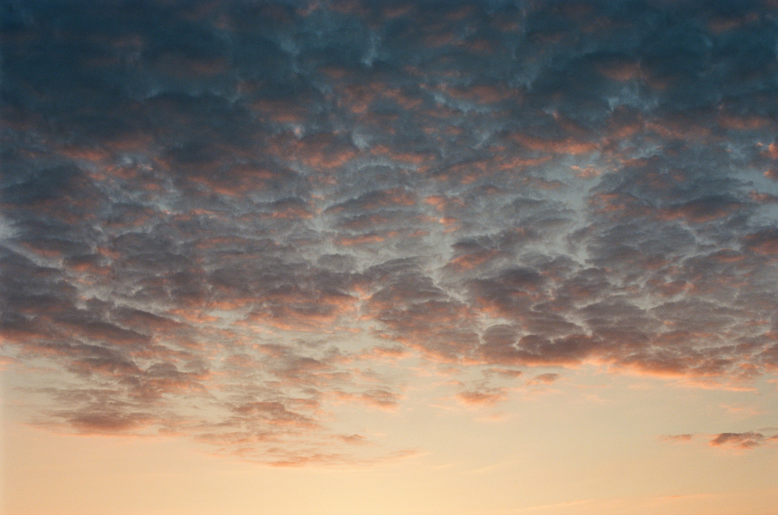 The drugs don't work // ukraine, crimea III. EVER EXPOSED