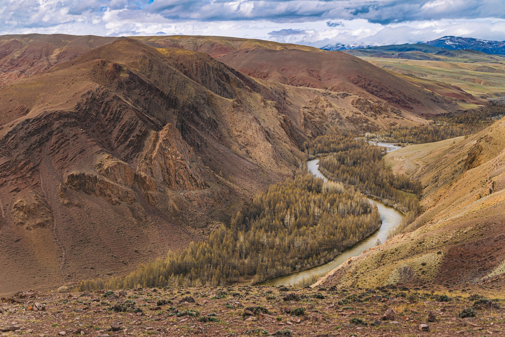 Алтай (май 2024). Фотограф ваших событий в Красноярске — Макс Захарченко